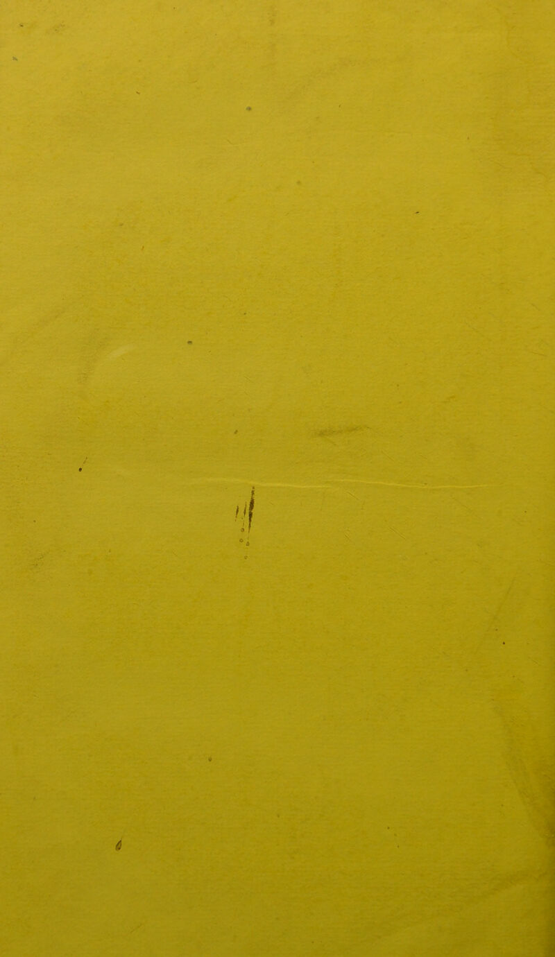 y.\ • ' ■ iC:. t\. • •¥ / « ' r. .ÎÜ‘. •.'“V*’ .*' ^K».' ^ ,n- :v\ ■ . «