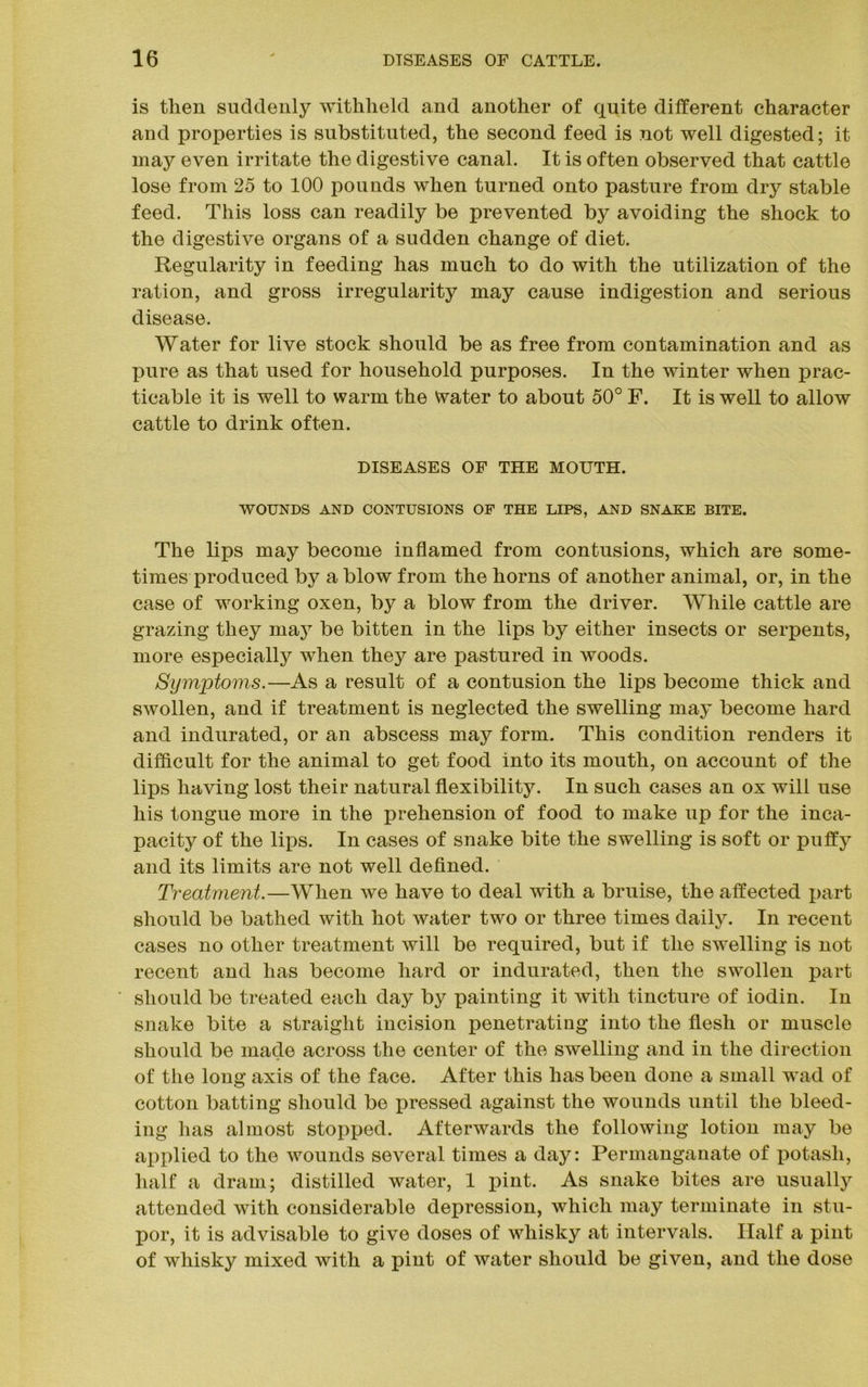 is then suddenly withheld and another of quite different character and properties is substituted, the second feed is not well digested; it may even irritate the digestive canal. It is often observed that cattle lose from 25 to 100 pounds when turned onto pasture from dry stable feed. This loss can readily be prevented by avoiding the shock to the digestive organs of a sudden change of diet. Regularity in feeding has much to do with the utilization of the ration, and gross irregularity may cause indigestion and serious disease. Water for live stock should be as free from contamination and as pure as that used for household purposes. In the winter when prac- ticable it is well to warm the Water to about 50° F. It is well to allow cattle to drink often. DISEASES OF THE MOUTH. WOUNDS AND CONTUSIONS OF THE LIPS, AND SNAKE BITE. The lips may become inflamed from contusions, which are some- times produced by a blow from the horns of another animal, or, in the case of working oxen, by a blow from the driver. While cattle are grazing they may be bitten in the lips by either insects or serpents, more especially when they are pastured in woods. Symptoms.—As a result of a contusion the lips become thick and swollen, and if treatment is neglected the swelling may become hard and indurated, or an abscess may form. This condition renders it difficult for the animal to get food into its mouth, on account of the lips having lost their natural flexibility. In such cases an ox will use his tongue more in the prehension of food to make up for the inca- pacity of the lips. In cases of snake bite the swelling is soft or puffy and its limits are not well defined. Treatment.—When we have to deal with a bruise, the affected part should be bathed with hot water two or three times daily. In recent cases no other treatment will be required, but if the swelling is not recent and has become hard or indurated, then the swollen part should be treated each day by painting it with tincture of iodin. In snake bite a straight incision penetrating into the flesh or muscle should be made across the center of the swelling and in the direction of the long axis of the face. After this has been done a small wad of cotton batting should be pressed against the wounds until the bleed- ing has almost stopped. Afterwards the following lotion may be applied to the wounds several times a day: Permanganate of potash, half a dram; distilled water, 1 pint. As snake bites are usually attended with considerable depression, which may terminate in stu- por, it is advisable to give doses of whisky at intervals. Half a pint of whisky mixed with a pint of water should be given, and the dose