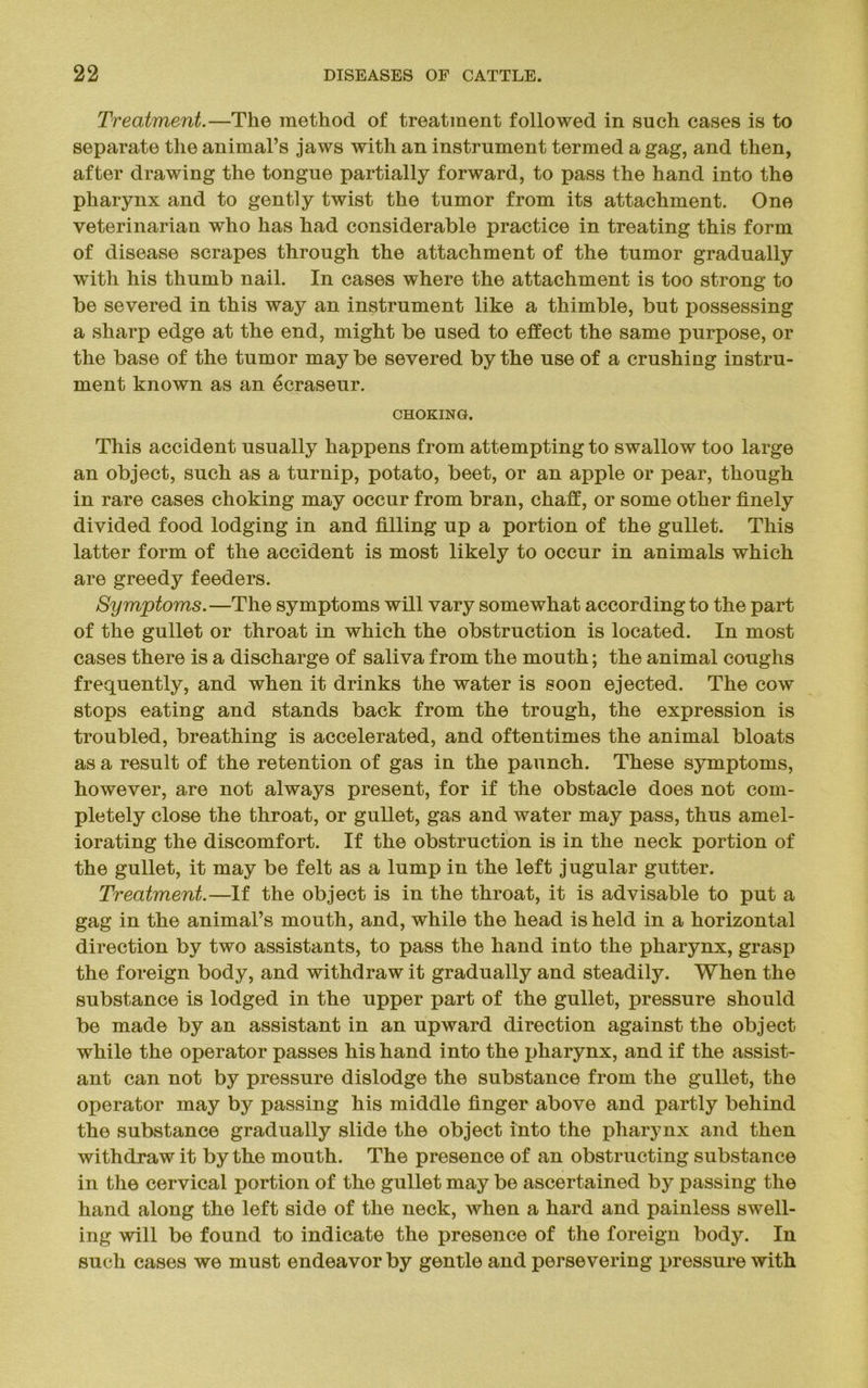 Treatment.—The method of treatment followed in such cases is to separate the animal’s jaws with an instrument termed a gag, and then, after drawing the tongue partially forward, to pass the hand into the pharynx and to gently twist the tumor from its attachment. One veterinarian who has had considerable practice in treating this form of disease scrapes through the attachment of the tumor gradually with his thumb nail. In cases where the attachment is too strong to be severed in this way an instrument like a thimble, but possessing a sharp edge at the end, might be used to effect the same purpose, or the base of the tumor may be severed by the use of a crushing instru- ment known as an ecraseur. CHOKING. This accident usually happens from attempting to swallow too large an object, such as a turnip, potato, beet, or an apple or pear, though in rare cases choking may occur from bran, chaff, or some other finely divided food lodging in and filling up a portion of the gullet. This latter form of the accident is most likely to occur in animals which are greedy feeders. Symptoms.—The symptoms will vary somewhat according to the part of the gullet or throat in which the obstruction is located. In most cases there is a discharge of saliva from the mouth; the animal coughs frequently, and when it drinks the water is soon ejected. The cow stops eating and stands back from the trough, the expression is troubled, breathing is accelerated, and oftentimes the animal bloats as a result of the retention of gas in the paunch. These symptoms, however, are not always present, for if the obstacle does not com- pletely close the throat, or gullet, gas and water may pass, thus amel- iorating the discomfort. If the obstruction is in the neck portion of the gullet, it may be felt as a lump in the left jugular gutter. Treatment.—If the object is in the throat, it is advisable to put a gag in the animal’s mouth, and, while the head is held in a horizontal direction by two assistants, to pass the hand into the pharynx, grasp the foreign body, and withdraw it gradually and steadily. When the substance is lodged in the upper part of the gullet, pressure should be made by an assistant in an upward direction against the object while the operator passes his hand into the pharynx, and if the assist- ant can not by pressure dislodge the substance from the gullet, the operator may by passing his middle finger above and partly behind the substance gradually slide the object into the pharynx and then withdraw it by the mouth. The presence of an obstructing substance in the cervical portion of the gullet may be ascertained by passing the hand along the left side of the neck, when a hard and painless swell- ing will be found to indicate the presence of the foreign body. In such cases we must endeavor by gentle and persevering pressure with