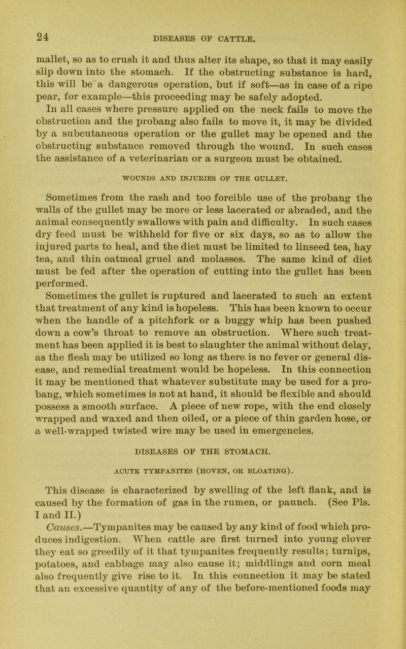 mallet, so as to crush it and thus alter its shape, so that it may easily slip down into the stomach. If the obstructing substance is hard, this will be a dangerous operation, but if soft—as in case of a ripe pear, for example—this proceeding may be safely adopted. In all cases where pressure applied on the neck fails to move the obstruction and the probang also fails to move it, it may be divided by a subcutaneous operation or the gullet may be opened and the obstructing substance removed through the wound. In such cases the assistance of a veterinarian or a surgeon must be obtained. WOUNDS AND INJURIES OF THE GULLET. Sometimes from the rash and too forcible use of the probang the walls of the gullet may be more or less lacerated or abraded, and the animal consequently swallows with pain and difficulty. In such cases dry feed must be withheld for five or six days, so as to allow the injured parts to heal, and the diet must be limited to linseed tea, hay tea, and thin oatmeal gruel and molasses. The same kind of diet must be fed after the operation of cutting into the gullet has been performed. Sometimes the gullet is ruptured and lacerated to such an extent that treatment of any kind is hopeless. This has been known to occur when the handle of a pitchfork or a buggy whip has been pushed down a cow’s throat to remove an obstruction. Where such treat- ment has been applied it is best to slaughter the animal without delay, as the flesh may be utilized so long as there is no fever or general dis- ease, and remedial treatment would be hopeless. In this connection it may be mentioned that whatever substitute may be used for a pro- bang, which sometimes is not at hand, it should be flexible and should possess a smooth surface. A piece of new rope, with the end closely wrapped and waxed and then oiled, or a piece of thin garden hose, or a well-wrapped twisted wire may be used in emergencies. DISEASES OF THE STOMACH. ACUTE TYMPANITES (HOVEN, OR BLOATING). This disease is characterized by swelling of the left flank, and is caused by the formation of gas in the rumen, or paunch. (See Pis. I and II.) Causes.—Tympanites may be caused by any kind of food which pro- duces indigestion. When cattle are first turned into young clover they eat so greedily of it that tympanites frequently results; turnips, potatoes, and cabbage may also cause it; middlings and corn meal also frequently give rise to it. In this connection it may be stated that an excessive quantity of any of the before-mentioned foods may