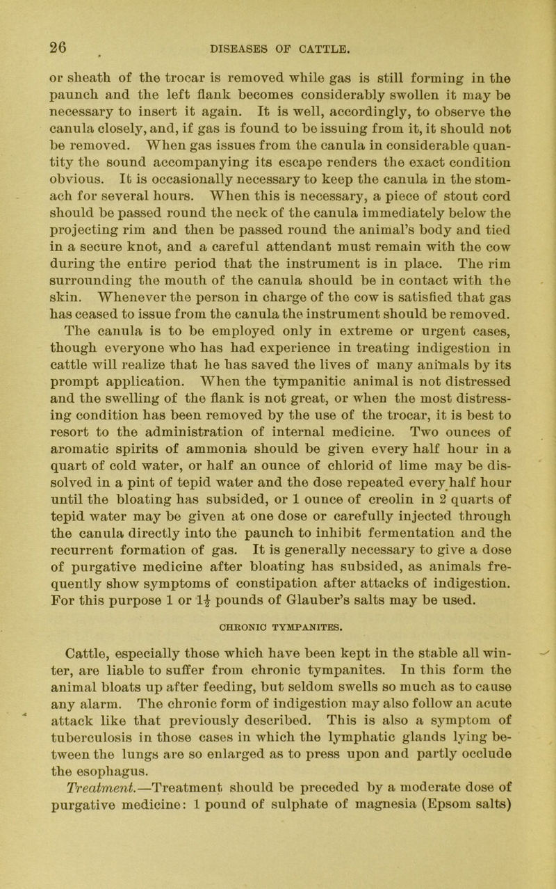 or sheath of the trocar is removed while gas is still forming in the paunch and the left flank becomes considerably swollen it may be necessary to insert it again. It is well, accordingly, to observe the canula closely, and, if gas is found to be issuing from it, it should not be removed. When gas issues from the canula in considerable quan- tity the sound accompanying its escape renders the exact condition obvious. It is occasionally necessary to keep the canula in the stom- ach for several hours. When this is necessary, a piece of stout cord should be passed round the neck of the canula immediately below the projecting rim and then be passed round the animal’s body and tied in a secure knot, and a careful attendant must remain with the cow during the entire period that the instrument is in place. The rim surrounding the mouth of the canula should be in contact with the skin. Whenever the person in charge of the cow is satisfied that gas has ceased to issue from the canula the instrument should be removed. The canula is to be employed only in extreme or urgent cases, though everyone who has had experience in treating indigestion in cattle will realize that he has saved the lives of many animals by its prompt application. When the tympanitic animal is not distressed and the swelling of the flank is not great, or when the most distress- ing condition has been removed by the use of the trocar, it is best to resort to the administration of internal medicine. Two ounces of aromatic spirits of ammonia should be given every half hour in a quart of cold water, or half an ounce of chlorid of lime may be dis- solved in a pint of tepid water and the dose repeated every half hour until the bloating has subsided, or 1 ounce of creolin in 2 quarts of tepid water may be given at one dose or carefully injected through the canula directly into the paunch to inhibit fermentation and the recurrent formation of gas. It is generally necessary to give a dose of purgative medicine after bloating has subsided, as animals fre- quently show symptoms of constipation after attacks of indigestion. For this purpose 1 or pounds of Glauber’s salts may be used. CHRONIC TYMPANITES. Cattle, especially those which have been kept in the stable all win- ter, are liable to suffer from chronic tympanites. In this form the animal bloats up after feeding, but seldom swells so much as to cause any alarm. The chronic form of indigestion may also follow an acute attack like that previously described. This is also a symptom of tuberculosis in those cases in which the lymphatic glands lying be- tween the lungs are so enlarged as to press upon and partly occlude the esophagus. Treatment.—Treatment should be preceded by a moderate dose of purgative medicine: 1 pound of sulphate of magnesia (Epsom salts)