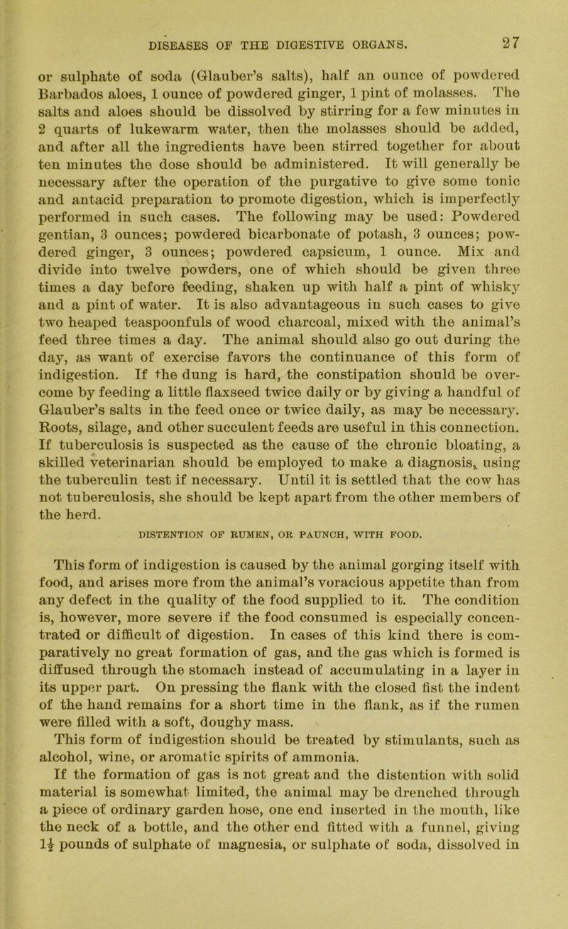 or sulphate of soda (Glauber’s salts), half an ounce of powdered Barbados aloes, 1 ounce of powdered ginger, 1 pint of molasses. The salts and aloes should be dissolved by stirring for a few minutes in 2 quarts of lukewarm water, then the molasses should be added, and after all the ingredients have been stirred together for about ten minutes the dose should be administered. It will generally be necessary after the operation of the purgative to give some tonic and antacid preparation to promote digestion, which is imperfectly performed in such cases. The following may be used: Powdered gentian, 3 ounces; powdered bicarbonate of potash, 3 ounces; pow- dered ginger, 3 ounces; powdered capsicum, 1 ounce. Mix and divide into twelve powders, one of which should be given three times a day before feeding, shaken up with half a pint of whisky and a pint of water. It is also advantageous in such cases to give two heaped teaspoonfuls of wood charcoal, mixed with the animal’s feed three times a day. The animal should also go out during the day, as want of exercise favors the continuance of this form of indigestion. If the dung is hard, the constipation should be over- come by feeding a little flaxseed twice daily or by giving a handful of Glauber’s salts in the feed once or twice daily, as may be necessary. Roots, silage, and other succulent feeds are useful in this connection. If tuberculosis is suspected as the cause of the chronic bloating, a skilled veterinarian should be employed to make a diagnosis,, using the tuberculin test if necessary. Until it is settled that the cow has not tuberculosis, she should be kept apart from the other members of the herd. DISTENTION OF RUMEN, OR PAUNCH, WITH FOOD. This form of indigestion is caused by the animal gorging itself with food, and arises more from the animal’s voracious appetite than from any defect in the quality of the food supplied to it. The condition is, however, more severe if the food consumed is especially concen- trated or difficult of digestion. In cases of this kind there is com- paratively no great formation of gas, and the gas which is formed is diffused through the stomach instead of accumulating in a layer in its upper part. On pressing the flank with the closed fist the indent of the hand remains for a short time in the flank, as if the rumen were filled with a soft, doughy mass. This form of indigestion should be treated by stimulants, such as alcohol, wine, or aromatic spirits of ammonia. If the formation of gas is not great and the distention with solid material is somewhat limited, the animal may be drenched through a piece of ordinary garden hose, one end inserted in the mouth, like the neck of a bottle, and the other end fitted with a funnel, giving li pounds of sulphate of magnesia, or sulphate of soda, dissolved in