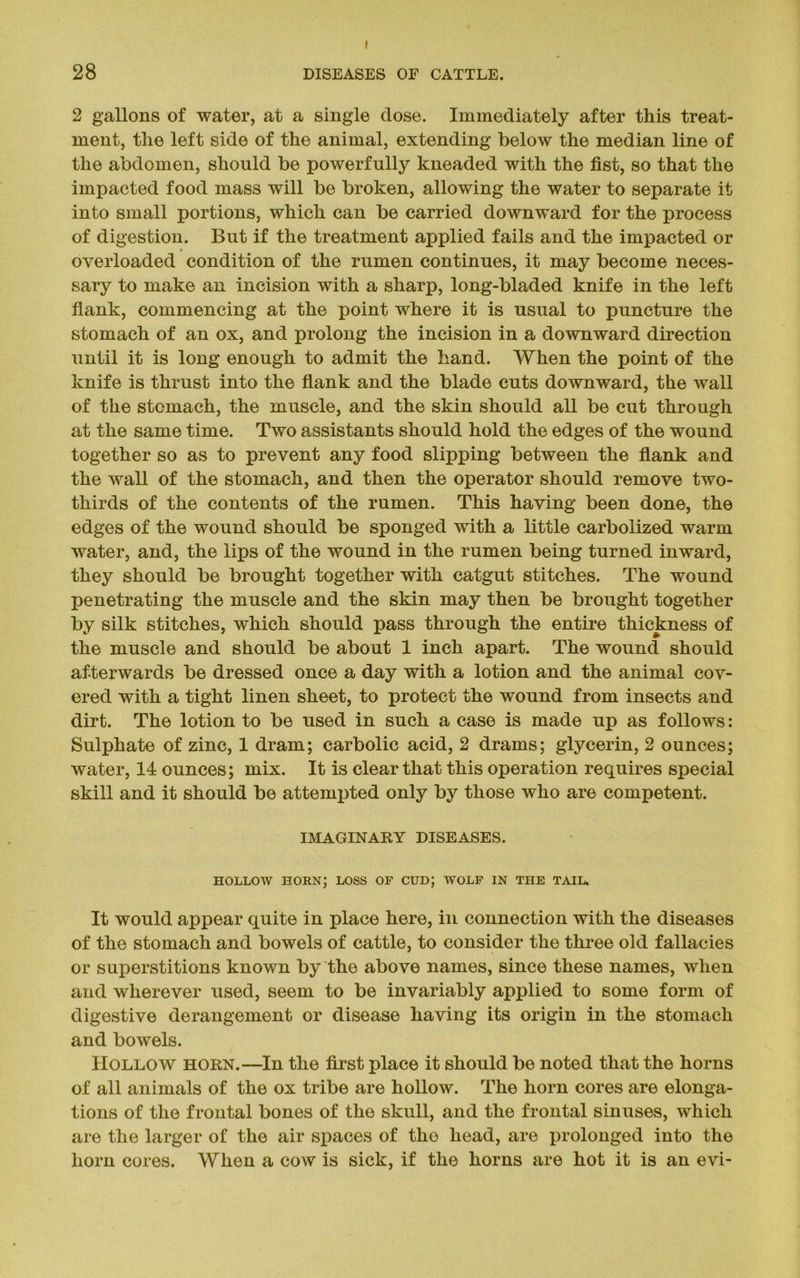 I 28 DISEASES OF CATTLE. 2 gallons of water, at a single dose. Immediately after this treat- ment, the left side of the animal, extending below the median line of the abdomen, should be powerfully kneaded with the fist, so that the impacted food mass will be broken, allowing the water to separate it into small portions, which can be carried downward for the process of digestion. But if the treatment applied fails and the impacted or overloaded condition of the rumen continues, it may become neces- sary to make an incision with a sharp, long-bladed knife in the left flank, commencing at the point where it is usual to puncture the stomach of an ox, and prolong the incision in a downward direction until it is long enough to admit the hand. When the point of the knife is thrust into the flank and the blade cuts downward, the wall of the stomach, the muscle, and the skin should all be cut through at the same time. Two assistants should hold the edges of the wound together so as to prevent any food slipping between the flank and the wall of the stomach, and then the operator should remove two- thirds of the contents of the rumen. This having been done, the edges of the wound should be sponged with a little carbolized warm water, and, the lips of the wound in the rumen being turned inward, they should be brought together with catgut stitches. The wound penetrating the muscle and the skin may then be brought together by silk stitches, which should pass through the entire thickness of the muscle and should be about 1 inch apart. The wound should afterwards be dressed once a day with a lotion and the animal cov- ered with a tight linen sheet, to protect the wound from insects and dirt. The lotion to be used in such a case is made up as follows: Sulphate of zinc, 1 dram; carbolic acid, 2 drams; glycerin, 2 ounces; water, 14 ounces; mix. It is clear that this operation requires special skill and it should be attempted only by those who are competent. IMAGINARY DISEASES. HOLLOW horn; loss of cud; wolf in the tail. It would appear quite in place here, in connection with the diseases of the stomach and bowels of cattle, to consider the three old fallacies or superstitions known by the above names, since these names, when and wherever used, seem to be invariably applied to some form of digestive derangement or disease having its origin in the stomach and bowels. Hollow horn.—In the first place it should be noted that the horns of all animals of the ox tribe are hollow. The horn cores are elonga- tions of the frontal bones of the skull, and the frontal sinuses, which are the larger of the air spaces of the head, are prolonged into the horn cores. When a cow is sick, if the horns are hot it is an evi-