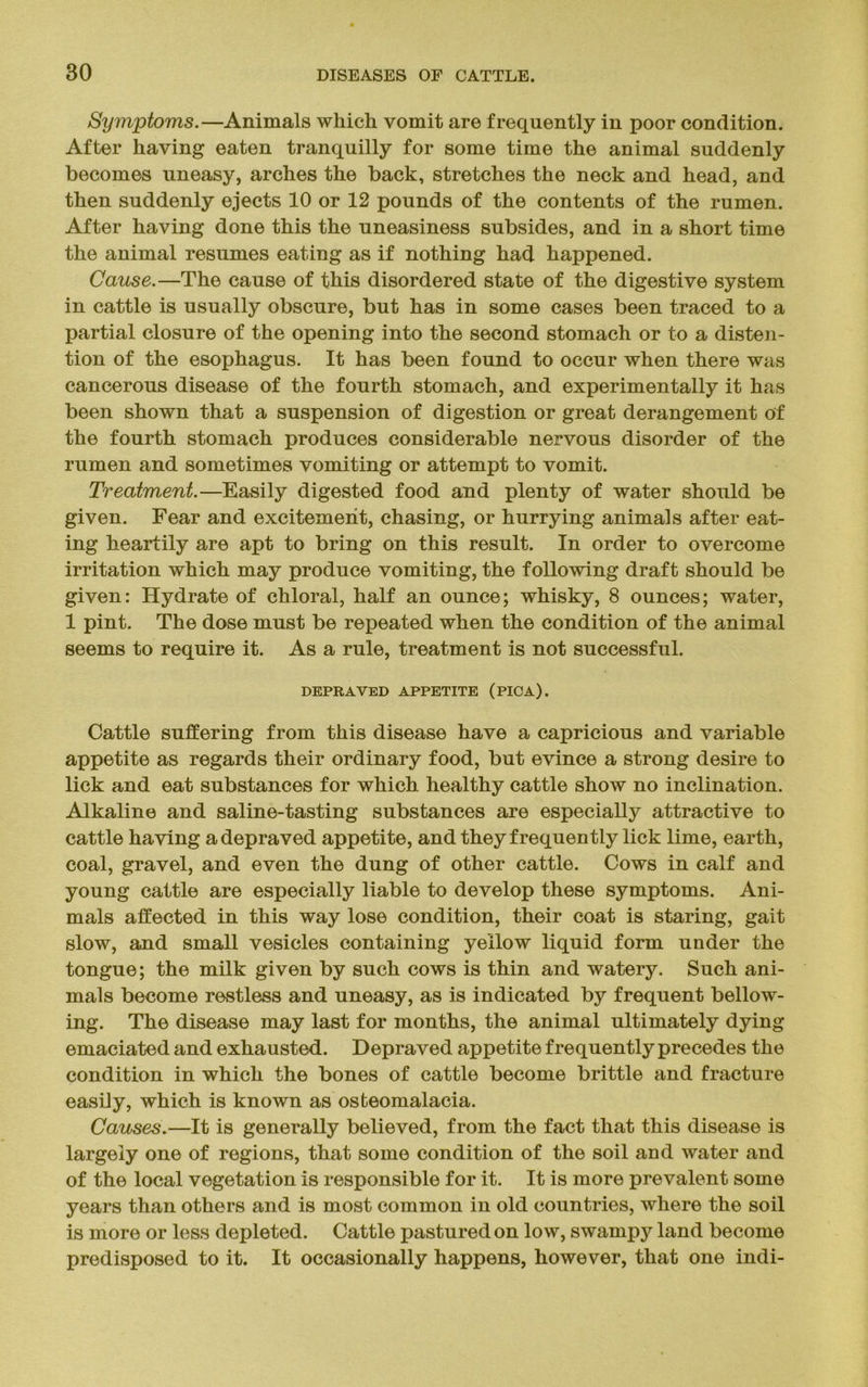 Symptoms.—Animals which vomit are frequently in poor condition. After having eaten tranquilly for some time the animal suddenly becomes uneasy, arches the back, stretches the neck and head, and then suddenly ejects 10 or 12 pounds of the contents of the rumen. After having done this the uneasiness subsides, and in a short time the animal resumes eating as if nothing had happened. Cause.—The cause of this disordered state of the digestive system in cattle is usually obscure, but has in some cases been traced to a partial closure of the opening into the second stomach or to a disten- tion of the esophagus. It has been found to occur when there was cancerous disease of the fourth stomach, and experimentally it has been shown that a suspension of digestion or great derangement of the fourth stomach produces considerable nervous disorder of the rumen and sometimes vomiting or attempt to vomit. Treatment.—Easily digested food and plenty of water should be given. Fear and excitement, chasing, or hurrying animals after eat- ing heartily are apt to bring on this result. In order to overcome irritation which may produce vomiting, the following draft should be given: Hydrate of chloral, half an ounce; whisky, 8 ounces; water, 1 pint. The dose must be repeated when the condition of the animal seems to require it. As a rule, treatment is not successful. DEPRAVED APPETITE (PICA). Cattle suffering from this disease have a capricious and variable appetite as regards their ordinary food, but evince a strong desire to lick and eat substances for which healthy cattle show no inclination. Alkaline and saline-tasting substances are especially attractive to cattle having a depraved appetite, and they frequently lick lime, earth, coal, gravel, and even the dung of other cattle. Cows in calf and young cattle are especially liable to develop these symptoms. Ani- mals affected in this way lose condition, their coat is staring, gait slow, and small vesicles containing yellow liquid form under the tongue; the milk given by such cows is thin and watery. Such ani- mals become restless and uneasy, as is indicated by frequent bellow- ing. The disease may last for months, the animal ultimately dying emaciated and exhausted. Depraved appetite frequently precedes the condition in which the bones of cattle become brittle and fracture easily, which is known as osteomalacia. Causes.—It is generally believed, from the fact that this disease is largely one of regions, that some condition of the soil and water and of the local vegetation is responsible for it. It is more prevalent some years than others and is most common in old countries, where the soil is more or less depleted. Cattle pastured on low, swampj^ land become predisposed to it. It occasionally happens, however, that one indi-