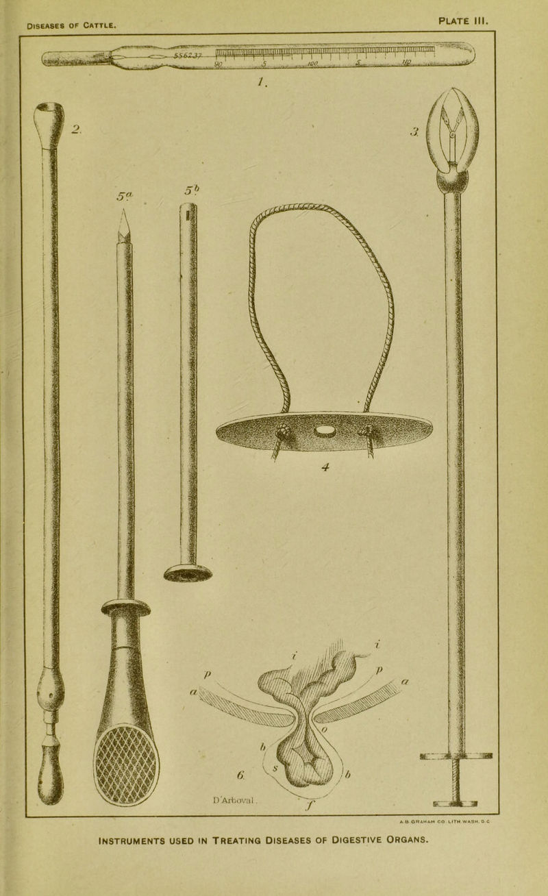 A B GRAHAM CO LITH WASH. D C INSTRUMENTS USED IN TREATING DISEASES OF DIGESTIVE ORGANS.