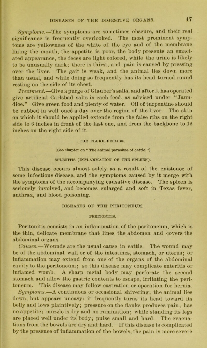Symptoms.—The symptoms are sometimes obscure, and their real significance is frequently overlooked. The most prominent symp- toms are yellowness of the white of the eye and of the membrane lining the mouth, the appetite is poor, the body presents an emaci- ated appearance, the feces are light colored, while the urine is likely to be unusually dark; there is thirst, and pain is caused by pressing over the liver. The gait is weak, and the animal lies down more than usual, and while doing so frequently has its head turned round resting on the side of its chest. Treatment.—Give a purge of Glauber’s salts, and after it has operated give artificial Carlsbad salts in each feed, as advised under “Jaun- dice.” Give green food and plenty of water. Oil of turpentine should be rubbed in well once a day over the region of the liver. The skin on which it should be applied extends from the false ribs on the right side to 6 inches in front of the last one, and from the backbone to 12 inches on the right side of it. THE FLUKE DISEASE. [See chapter on “ The animal parasites of cattle.”] SPLENITIS (INFLAMMATION OF THE SPLEEN). This disease occurs almost solely as a result of the existence of some infectious disease, and the symptoms caused by it merge with the symptoms of the accomjianying causative disease. The spleen is seriously involved, and becomes enlarged and soft in Texas fever, anthrax, and blood poisoning. DISEASES OF THE PERITONEUM. PERITONITIS. Peritonitis consists in an inflammation of the peritoneum, which is the thin, delicate membrane that lines the abdomen and covers the abdominal organs. Causes.—Wounds are the usual cause in cattle. The wound may be of the abdominal wall or of the intestines, stomach, or uterus; or inflammation may extend from one of the organs of the abdominal cavity to the peritoneum; so this disease may complicate enteritis or inflamed womb. A sharp metal body may perforate the second stomach and allow the gastric contents to escape, irritating the peri- toneum. This disease may follow castration or operation for hernia. Symptoms.—A continuous or occasional shivering; the animal lies down, but appears uneasy; it frequently turns its head toward its belly and lows plaintively; pressure on the flanks produces pain; has no appetite; muzzle is dry and no rumination; while standing its legs are placed well under its body; pulse small and hard. The evacua- tions from the bowels are dry and hard. If this disease is complicated by the presence of inflammation of the bowels, the pain is more severe