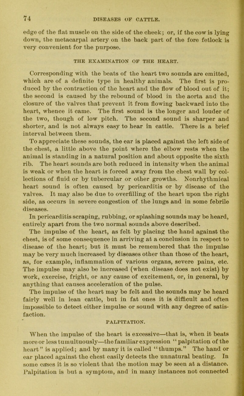 edge of the flat muscle on the side of the cheek; or, if the cow is lying down, the metacarpal artery on the back part of the fore fetlock is very convenient for the purpose. THE EXAMINATION OF THE HEART. Corresponding with the beats of the heart two sounds are emitted, which are of a definite type in healthy animals. The first is pro- duced by the contraction of the heart and the flow of blood out of it; the second is caused by the rebound of blood in the aorta and the closure of the valves that prevent it from flowing backward into the heart, whence it came. The first sound is the longer and louder of the two, though of low pitch. The second sound is sharper and shorter, and is not always easy to hear in cattle. There is a brief interval between them. To appreciate these sounds, the ear is placed against the left side of the chest, a little above the point where the elbow rests when the animal is standing in a natural position and about opposite the sixth rib. The heart sounds are both reduced in intensity when the animal is weak or when the heart is forced away from the chest wall by col- lections of fluid or by tubercular or other growths. Nonrhythmical heart sound is often caused by pericarditis or by disease of the valves. It may also be due to overfilling of the heart upon the right side, as occurs in severe congestion of the lungs and in some febrile diseases. In pericarditis scraping, rubbing, or splashing sounds may be heard, entirely apart from the two normal sounds above described. The impulse of the heart, as felt by placing the hand against the chest, is of some consequence in arriving at a conclusion in respect to disease of the heart; but it must be remembered that the impulse may be very much increased by diseases other than those of the heart, as, for example, inflammation of various organs, severe pains, etc. The impulse may also be increased (when disease does not exist) by work, exercise, fright, or any cause of excitement, or, in general, by anything that causes acceleration of the pulse. The impulse of the heart may be felt and the sounds may be heard fairly well in lean cattle, but in fat ones it is difficult and often impossible to detect either impulse or sound with any degree of satis- faction. PALPITATION. When the impulse of the heart is excessive—that is, when it beats more or less tumultuously—the familiar expression “ palpitation of the heart” is applied; and by many it is called “thumps.” The hand or ear placed against the chest easily detects the unnatural beating. In some cases it is so violent that the motion may be seen at a distance. Palpitation is but a symptom, and in many instances not connected