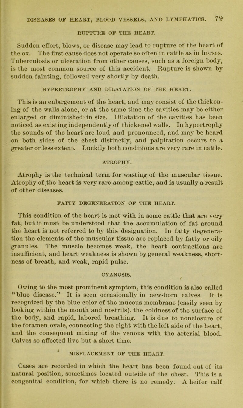 RUPTURE OF THE HEART. Sadden effort, blows, or disease may lead to rapture of the heart of the ox. The first cause does not operate so often in cattle as in horses. Tuberculosis or ulceration from other causes, such as a foreign body, is the most common source of this accident. Rupture is shown by sudden fainting, followed very shortly by death. HYPERTROPHY AND DILATATION OF THE HEART. This is an enlargement of the heart, and may consist of the thicken- ing of the walls alone, or at the same time the cavities may be either enlarged or diminished in size. Dilatation of the cavities has been noticed as existing independently of thickened walls. In hypertrophy the sounds of the heart are loud and pronounced, and may be heard on both sides of the chest distinctly, and palpitation occurs to a greater or less extent. Luckily both conditions are very rare in cattle. ATROPHY. Atrophy is the technical term for wasting of the muscular tissue. Atrophy of .the heart is very rare among cattle, and is usually a result of other diseases. FATTY DEGENERATION OF THE HEART. This condition of the heart is met with in some cattle that are very fat, but it must be understood that the accumulation of fat around the heart is not referred to by this designation. In fatty degenera- tion the elements of the muscular tissue are replaced by fatty or oily granules. The muscle becomes weak, the heart contractions are insufficient, and heart weakness is shown by general weakness, short- ness of breath, and weak, rapid pulse. CYANOSIS. / Owing to the most prominent symptom, this condition is also called “blue disease.” It is seen occasionally in new-born calves. It is recognized by the blue color of the mucous membrane (easily seen by looking within the mouth and nostrils), the coldness of the surface of the body, and rapid,, labored breathing. It is due to nonclosure of the foramen ovale, connecting the right with the left side of the heart, and the consequent mixing of the venous with the arterial blood. Calves so affected live but a short time. MISPLACEMENT OF THE HEART. Cases are recorded in which the heart has been found out of its natural position, sometimes located outside of the chest. This is a congenital condition, for which there is no remedy. A heifer calf