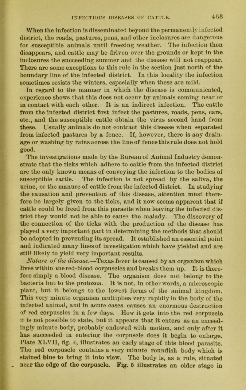When the infection is disseminated beyond the permanently infected district, the roads, pastures, pens, and other inclosures are dangerous for susceptible animals until freezing weather. The infection then disappears, and cattle may be driven over the grounds or kept in the inclosures the succeeding summer and the disease will not reappear. There are some exceptions to this rule in the section just north of the boundary line of the infected district. In this locality the infection sometimes resists the winters, especially when these are mild. In regard to the manner in which the disease is communicated, experience shows that this does not occur by animals coming near or in contact with each other. It is an indirect infection. The cattle from the infected district first infect the pastures, roads, pens, cars, etc., and the susceptible cattle obtain the virus second hand from these. Usually animals do not contract this disease when separated from infected pastures by a fence. If, however, there is any drain- age or washing by rains across the line of fence this rule does not hold good. The investigations made by the Bureau of Animal Industry demon- strate that the ticks which adhere to cattle from the infected district are the only known means of conveying the infection to the bodies of susceptible cattle. The infection is not spread by the saliva, the urine, or the manure of cattle from the infected district. In studying the causation and prevention of this disease, attention must there- fore be largely given to the ticks, and it now seems apparent that if cattle could be freed from this parasite when leaving the infected dis- trict they would not be able to cause the malady. The discovery of the connection of the ticks with the production of the disease has played a very important part in determining the methods that should be adopted in preventing its spread. It established an essential point and indicated many lines of investigation which have yielded and are still likely to yield very important results. Nature of the disease.—Texas fever is caused by an organism which lives within tbe red-blood corpuscles and breaks them up. It is there- fore simply a blood disease. The organism does not belong to the bacteria but to the protozoa. It is not, in other words, a microscopic plant, but it belongs to the lowest forms of the animal kingdom. This very minute organism multiplies very rapidly in the body of the infected animal, and in acute cases causes an enormous destruction of red corpuscles in a few days. How it gets into the red corpuscle it is not possible to state, but it appears that it enters as an exceed- ingly minute body, probably endowed with motion, and only after it has succeeded in entering the corpuscle does it begin to enlarge. Plate XLVII, fig. 4, illustrates an early stage of this blood parasite. The red corpuscle contains a very minute roundish body which is stained blue to bring it into view. The body is, as a rule, situated near the edge of the corpuscle. Fig. 5 illustrates an older stage in