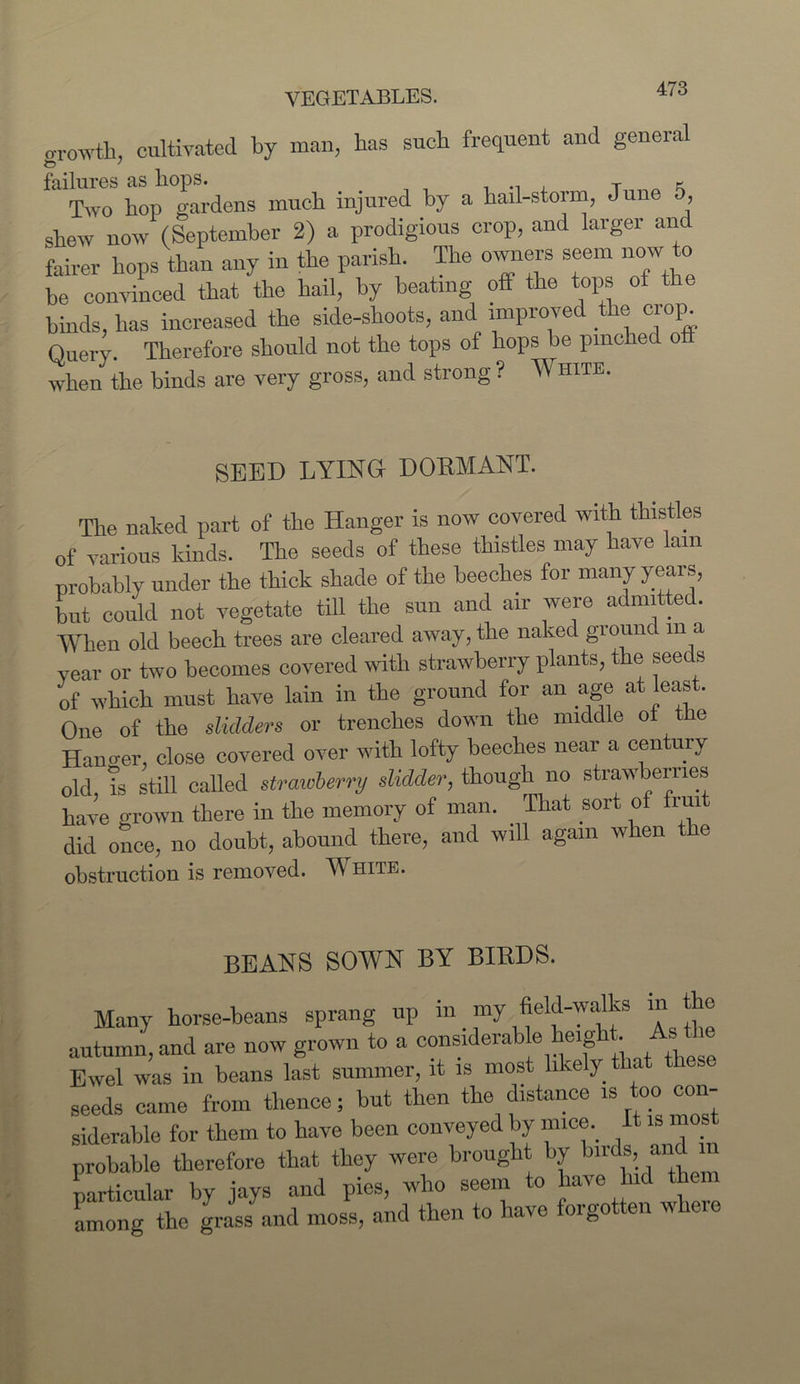 growth, cultivated by man, has such frequent and general failures as hops. t ^ f; Two hop gardens much injured by a hall-storm, June 5, shew now (September 2) a prodigious crop, and larger and fairer hops than any in the parish. The owners seem now to he convinced that the hail, by beating oft the tops of the binds, has increased the side-shoots, and improved the wop. Query. Therefore should not the tops of hops be pinched o when the binds are very gross, and strong ? White. SEED LYING DORMANT. The naked part of the Hanger is now covered with thistles of various kinds. The seeds of these thistles may have lam probably under the thick shade of the beeches for many y ears, but could not vegetate till the sun and air were admitted. When old beech trees are cleared away, the naked ground in a year or two becomes covered with strawberry plants, the seeds of which must have lain in the ground for an age at least. One of the didders or trenches down the middle ot the Hancer, close covered over with lofty beeches near a century old is still called strawberry Odder, though no strawberries have grown there in the memory of man. That sort of fruit did once, no doubt, abound there, and will again when the obstruction is removed. White. BEANS SOWN BY BIRDS. Many horse-beans sprang up in my field-walks in the autumn, and are now grown to a considerable height. As tiie Ewel was in beans last summer, it is most likely • seeds came from thence; but then the distance is toe.con- siderable for them to have been conveyed b\ mice.. . probable therefore that they were brought by birds, and particular by jays and pies, who seem to have hid them among the grass and moss, and then to have forgotten wheie