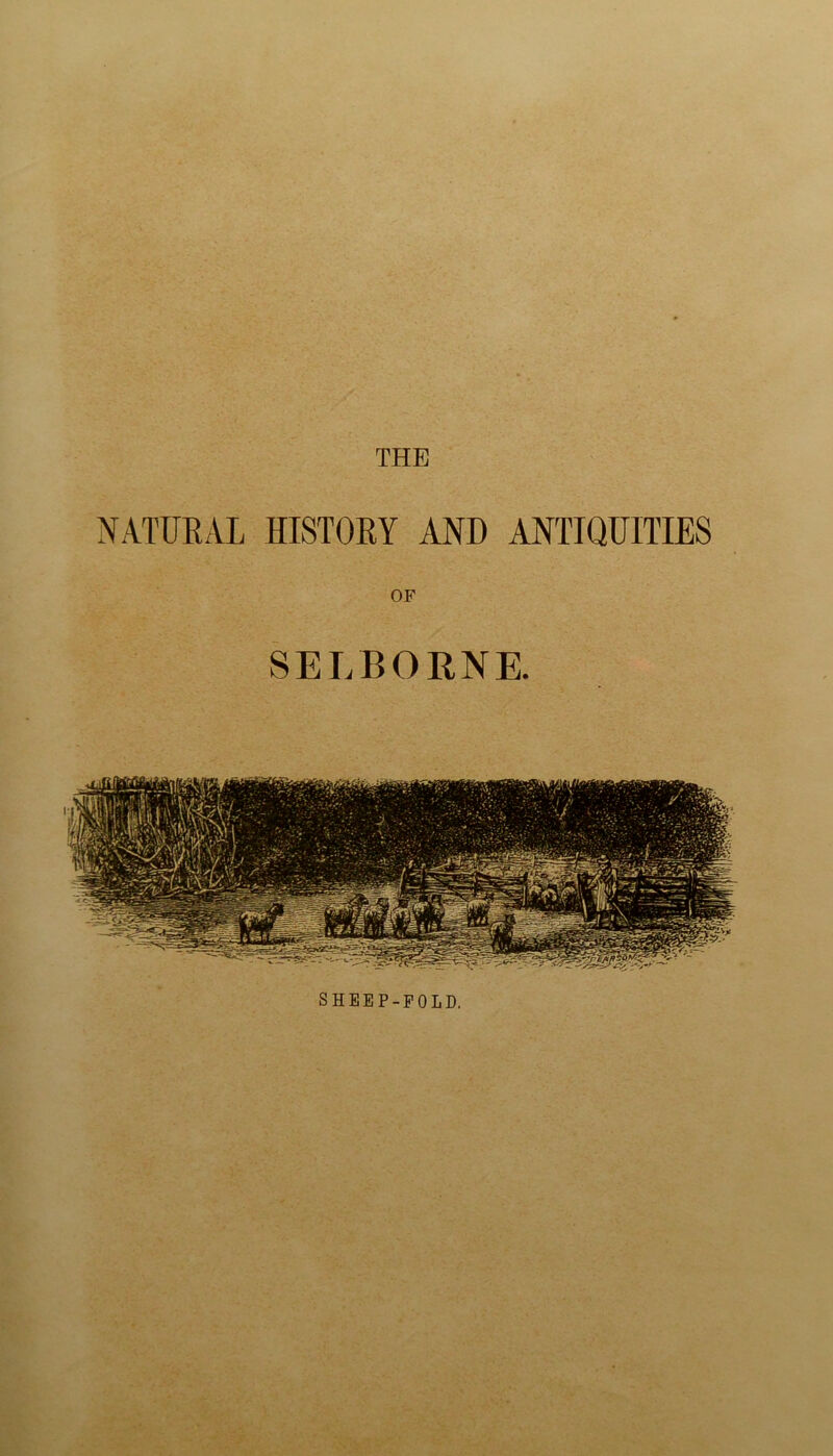 NATURAL HISTORY AND ANTIQUITIES OF SEI/BORNE. SHEEP-FOLD.