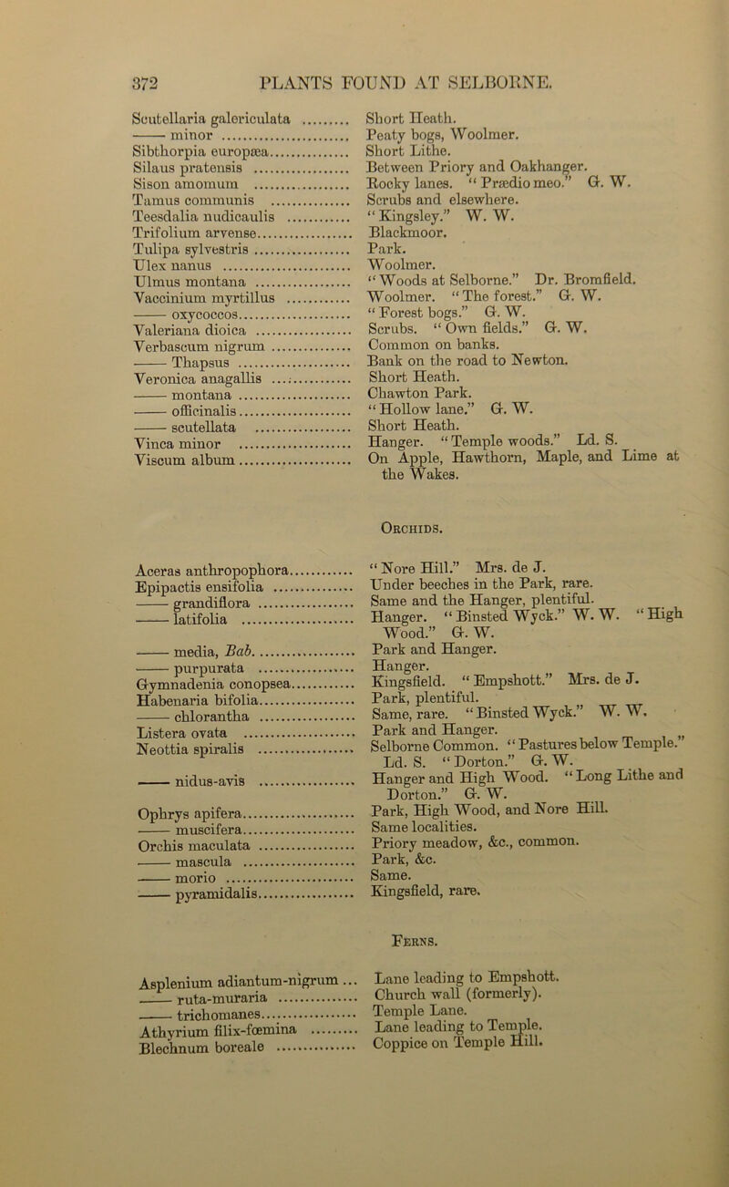 Scutellaria galoriculata minor Sibthorpia europsea Silaus pi'atensis Sison amomura Tamus communis .... Teesdalia nudicaulis . Trifolium aryense Tulipa sylvestris Ulex nanus Ulmus montana Yaccinium myrtillus . oxycoccos Valeriana dioica Yerbascum nigrum — Tkapsus Veronica anagallis montana officinalis scutellata Vinca minor Viscum album Short Heath. Peaty bogs, Woolmer. Short Lithe. Between Priory and Oakhanger. Rocky lanes. “ Praedio meo.” G. W. Scrubs and elsewhere. “Kingsley.” W. W. Blackmoor. Park. Woolmer. “Woods at Selborne.” Dr. Bromfield. Woolmer. “The forest.” G. W. “ Forest bogs.” G. W. Scrubs. “ Own fields.” G. W. Common on banks. Bank on the road to Newton. Short Heath. Chawton Park. “ Hollow lane.” G. W. Short Heath. Hanger. “ Temple woods.” Ld. S. On Apple, Hawthorn, Maple, and Lime at the Wakes. Orchids. Aceras antkropopkora “ Nore Hill.” Mrs. de J. Epipactis ensifolia Under beeches in the Park, rare. grandiflora Same and the Hanger, plentiful. — latifolia Hanger. “ Binsted Wyck.” W. W. “High Wood.” G. W. media, Bad Park and Hanger. purpurata Hanger. Gymnadenia conopsea Kingsfield. “ Empshott. Mrs. de J. Habenaria bifolia Park, plentiful. _TT TT7 chlorantha Same, rare. “Binsted Wyck. W. W. Listera ovata Park and Hanger. Neottia spiralis Selborne Common. “ Pastures below Temple. Ld. S. “ Dorton.” G. W. nidus-avis Hanger and High Wood. “ Long Lithe and Dorton.” G. W. Ophrys apifera Park, High Wood, and Nore Hill. muscifera Same localities. Orchis maculata Priory meadow, &c., common. mascula Park, &c. morio Same. pyramidalis Kingsfield, rare. Ferns. Asplenium adiantum-nigrum ... ruta-muraria —■— trichomanes Athyrium filix-foemina Blechnum boreale Lane leading to Empshott. Church wall (formerly). Temple Lane. Lane leading to Temple. Coppice on Temple Hill.