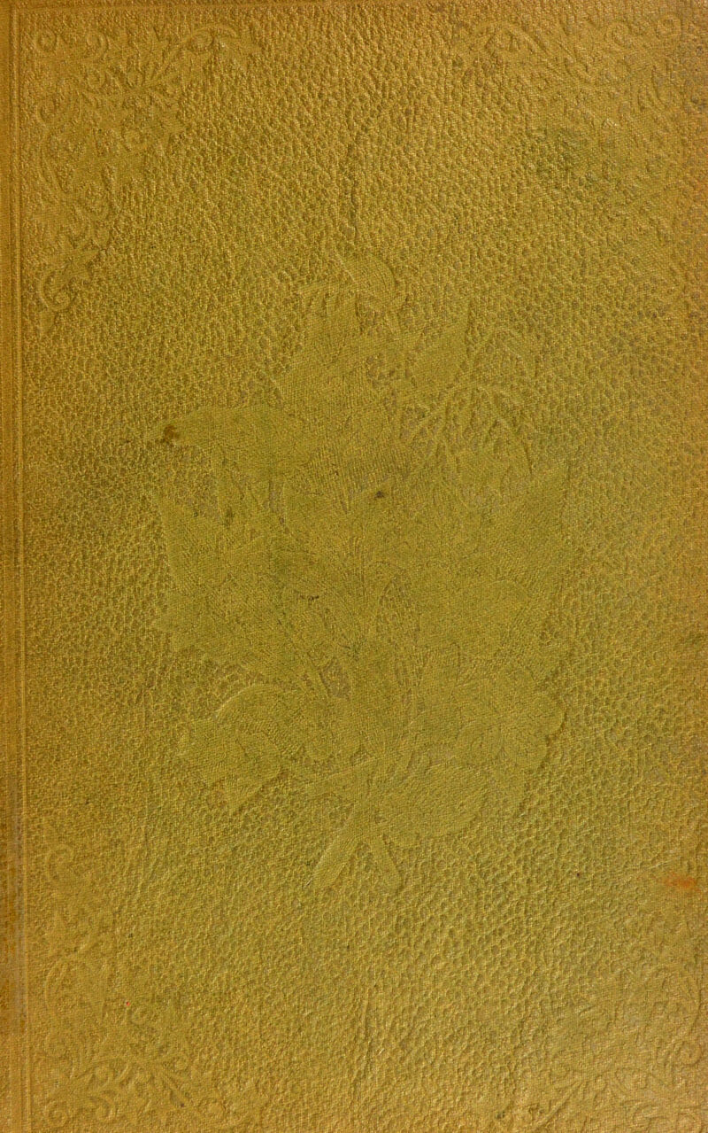 mm mm Iv; gK'£fe % I MIR nm WsmE® *s }W4 . &/>*, 2 ^Lpy .'*>V, •’V An PilMii If '■***#/;? a.#jSjm&s£& V-J t *K • t;'/,; (M*u