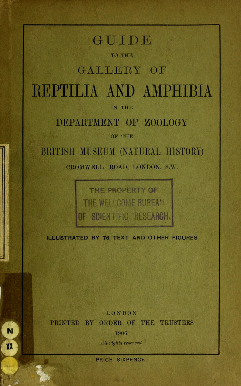 r',jr‘ iH GUIDE TO THE GALLERY OF BEPTILIA AND AMPHIBIA IN THE DEPARTMENT OF ZOOLOGY OF THE BRITISH MUSEUM (NATURAL HISTORY) CROMWELL ROAD, LONDON, S.W. ILLUSTRATED BY 76 TEXT AND OTHER FIGURES IM n LONDON PRINTED BY ORDER OF THE TRUSTEES 1906 All rights reserved n PRICE SIXPENCE