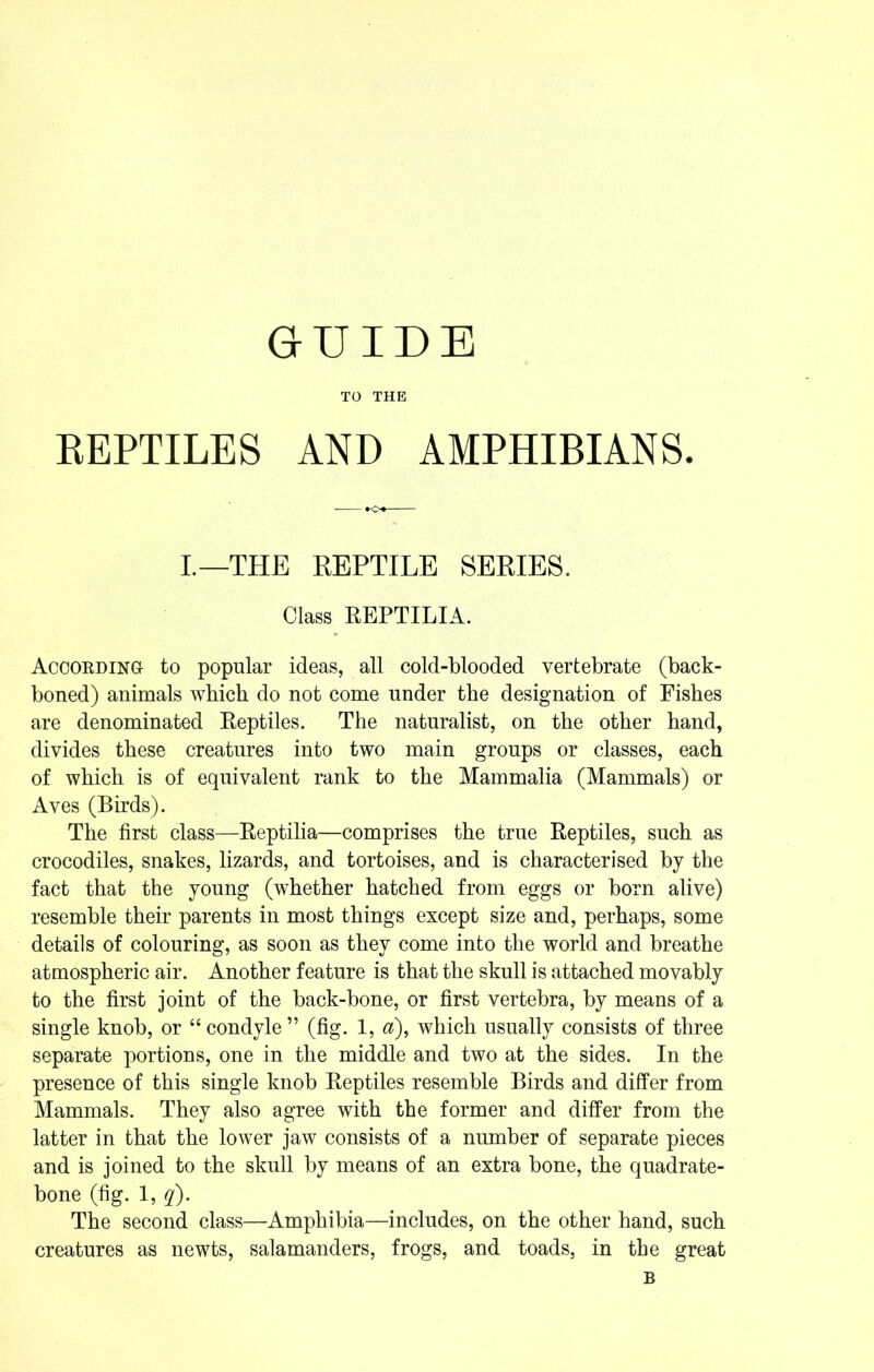 GUIDE TO THE REPTILES AND AMPHIBIANS. I.—THE REPTILE SERIES. Class REPTILIA. According to popular ideas, all cold-blooded vertebrate (back- boned) animals which do not come under the designation of Fishes are denominated Reptiles. The naturalist, on the other hand, divides these creatures into two main groups or classes, each of which is of equivalent rank to the Mammalia (Mammals) or Aves (Birds). The first class—Reptilia—comprises the true Reptiles, such as crocodiles, snakes, lizards, and tortoises, and is characterised by the fact that the young (whether hatched from eggs or born alive) resemble their parents in most things except size and, perhaps, some details of colouring, as soon as they come into the world and breathe atmospheric air. Another feature is that the skull is attached movably to the first joint of the back-bone, or first vertebra, by means of a single knob, or “condyle” (fig. 1, a), which usually consists of three separate portions, one in the middle and two at the sides. In the presence of this single knob Reptiles resemble Birds and differ from Mammals. They also agree with the former and differ from the latter in that the lower jaw consists of a number of separate pieces and is joined to the skull by means of an extra bone, the quadrate- bone (fig. 1, q). The second class—Amphibia—includes, on the other hand, such creatures as newts, salamanders, frogs, and toads, in the great