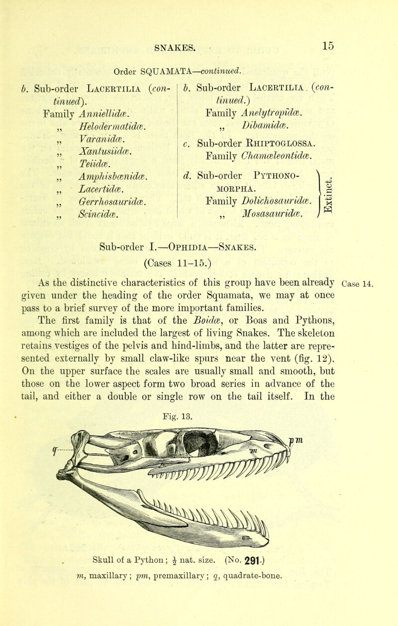 Order SQUAMATA—continued. b. Sub-order Lacertilia (con- tinued]). Family Anniellidce. „ Helodermatidce. „ Varanidce. „ Xantusiidm. „ Teiidce. „ Amphisbcenidm. „ Lacertidce. „ Gerrhosauridm. „ Scincidce. b. Sub-order Lacertilia . (ctw- tinued.) Family Anelytropidm. „ Dibamidca. c. Sub-order Rhiptoglossa. Family Chamcdeontidcz. d. Sub-order Pythono- MORPHA. Family Dolichosauridcz. „ Mosasauridce. Sub-order I.—Ophidia—Snakes. (Oases 11-15.) As the distinctive characteristics of this group have been already case 14. given under the heading of the order Squamata, we may at once pass to a brief survey of the more important families. The first family is that of the Boidce, or Boas and Pythons, among which are included the largest of living Snakes. The skeleton retains vestiges of the pelvis and hind-limbs, and the latter are repre- sented externally by small claw-like spurs near the vent (fig. 12). On the upper surface the scales are usually small and smooth, but those on the lower aspect form two broad series in advance of the tail, and either a double or single row on the tail itself. In the Fig. 13. Skull of a Python; J nat. size. (No. 2910 m, maxillary; ym, premaxillary; q, quadrate-bone.