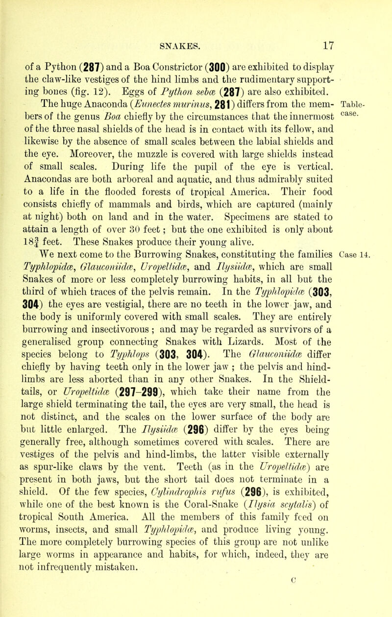 of a Python (287) and a Boa Constrictor (300) are exhibited to display the claw-like vestiges of the hind limbs and the rudimentary support- ing bones (fig. 12). Eggs of Python sebce (287) are also exhibited. The huge Anaconda (.Eunectes murinns, 281) differs from the mem- bers of the genus Boa chiefly by the circumstances that the innermost of the three nasal shields of the head is in contact with its fellow, and likewise by the absence of small scales between the labial shields and the eye. Moreover, the muzzle is covered with large shields instead of small scales. During life the pupil of the eye is vertical. Anacondas are both arboreal and aquatic, and thus admirably suited to a life in the flooded forests of tropical America. Their food consists chiefly of mammals and birds, which are captured (mainly at night) both on land and in the water. Specimens are stated to attain a length of over 30 feet; but the one exhibited is only about 18J feet. These Snakes produce their young alive. We next come to the Burrowing Snakes, constituting the families Typhlopidx, Glauconiidm, Uropeltidoo, and Ilysiidcz, which are small Snakes of more or less completely burrowing habits, in all but the third of which traces of the pelvis remain. In the Typhlopidce, (303, 304) the eyes are vestigial, there are no teeth in the lower jaw, and the body is uniformly covered with small scales. They are entirely burrowing and insectivorous ; and may be regarded as survivors of a generalised group connecting Snakes with Lizards. Most of the species belong to Typhlops (303, 304). The Glauconiidw differ chiefly by having teeth only in the lower jaw ; the pelvis and hind- limbs are less aborted than in any other Snakes. In the Shield- tails, or Uropeltidce, (297-299), which take their name from the large shield terminating the tail, the eyes are very small, the head is not distinct, and the scales on the lower surface of the body are but little enlarged. The Ilysiidcz (296) differ by the eyes being generally free, although sometimes covered with scales. There are vestiges of the pelvis and hind-limbs, the latter visible externally as spur-like claws by the vent. Teeth (as in the Uropeltidm) are present in both jaws, but the short tail does not terminate in a shield. Of the few species, Cylindrophis rufus (296), is exhibited, while one of the best known is the Coral-Snake (Ilysia scytalis) of tropical South America. All the members of this family feed on worms, insects, and small Typhlopidce, and produce living young. The more completely burrowing species of this group are not unlike large worms in appearance and habits, for which, indeed, they are not infrequently mistaken. Table- case. Case 14. C