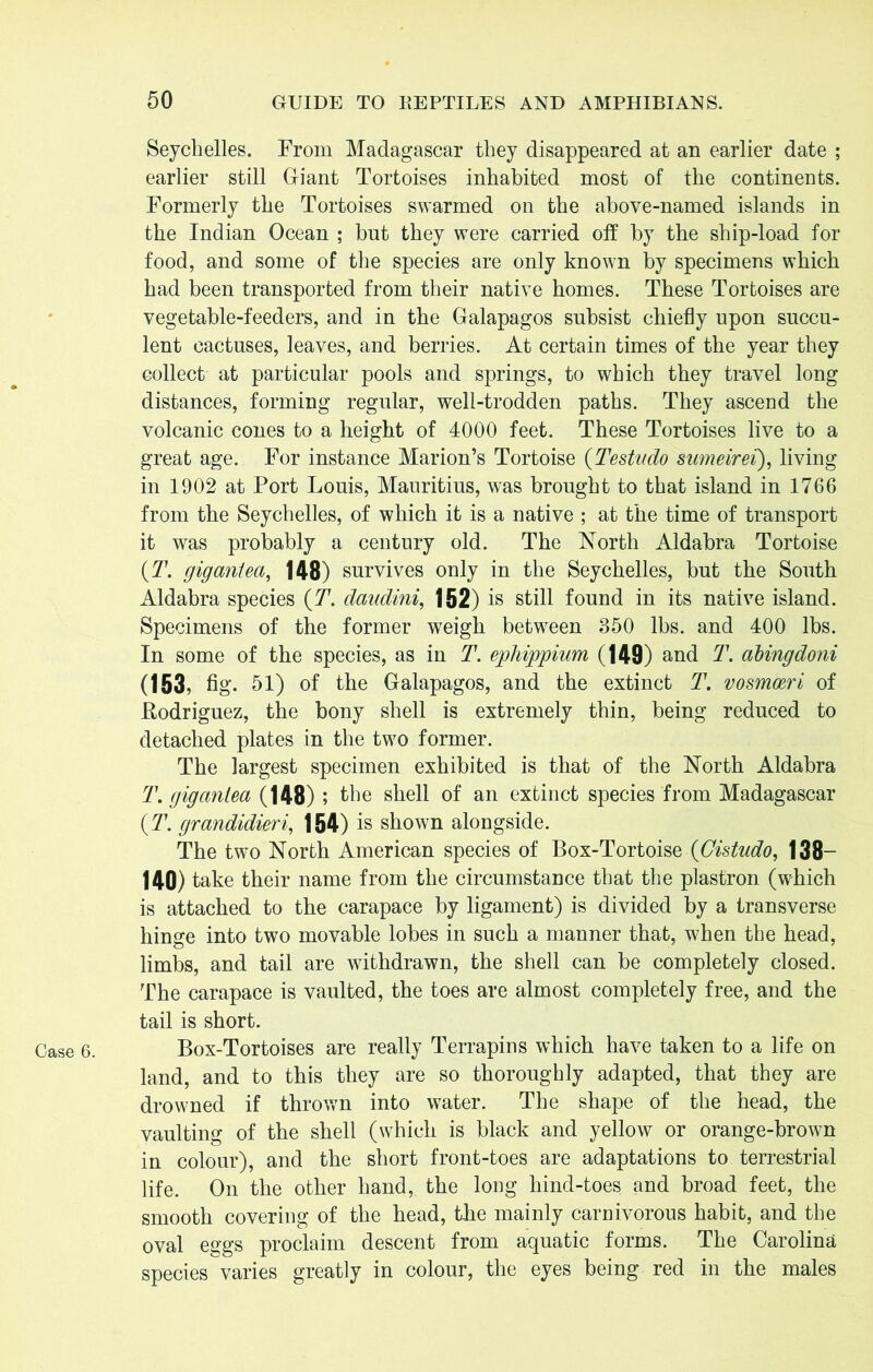 Case 6. Seychelles. From Madagascar they disappeared at an earlier date ; earlier still Giant Tortoises inhabited most of the continents. Formerly the Tortoises swarmed on the above-named islands in the Indian Ocean ; but they were carried off by the ship-load for food, and some of the species are only known by specimens which had been transported from their native homes. These Tortoises are vegetable-feeders, and in the Galapagos subsist chiefly upon succu- lent cactuses, leaves, and berries. At certain times of the year they collect at particular pools and springs, to which they travel long distances, forming regular, well-trodden paths. They ascend the volcanic cones to a height of 4000 feet. These Tortoises live to a great age. For instance Marion’s Tortoise (Testudo sumeirei), living in 1902 at Port Louis, Mauritius, was brought to that island in 1766 from the Seychelles, of which it is a native ; at the time of transport it was probably a century old. The North Aldabra Tortoise (T. gigantea, 148) survives only in the Seychelles, but the South Aldabra species (T7. daudini, 152) is still found in its native island. Specimens of the former weigh between 350 lbs. and 400 lbs. In some of the species, as in T. epluppium (149) and T. cibingdoni (153, fig. 51) of the Galapagos, and the extinct T. vosmwri of .Rodriguez, the bony shell is extremely thin, being reduced to detached plates in the two former. The largest specimen exhibited is that of the North Aldabra T. gigantea (148) ; the shell of an extinct species from Madagascar (T. grandidieri, 154) is shown alongside. The two North American species of Box-Tortoise (Gistudo, 138— 140) take their name from the circumstance that the plastron (which is attached to the carapace by ligament) is divided by a transverse hinge into two movable lobes in such a manner that, when the head, limbs, and tail are withdrawn, the shell can be completely closed. The carapace is vaulted, the toes are almost completely free, and the tail is short. Box-Tortoises are really Terrapins which have taken to a life on land, and to this they are so thoroughly adapted, that they are drowned if thrown into water. The shape of the head, the vaulting of the shell (which is black and yellow or orange-brown in colour), and the short front-toes are adaptations to terrestrial life. On the other hand, the long hind-toes and broad feet, the smooth covering of the head, the mainly carnivorous habit, and the oval eggs proclaim descent from aquatic forms. The Carolina species varies greatly in colour, the eyes being red in the males