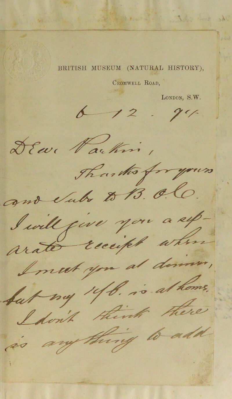 I BRITISH MUSEUM (NATURAL HISTORY), Cromwell Road, London, S.W. /< / 2 -