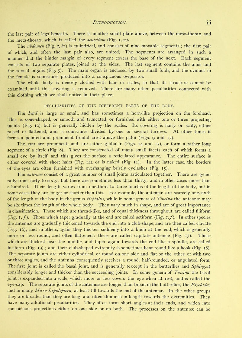 the last pair of legs beneath. There is another small plate above, between the meso-thorax and the meta-thorax, which is called the scutellum (Fig. i,sc). The abdomen (Fig. 2, hi) is cylindrical, and consists of nine movable segments ; the first pair of which, and often the last pair also, are united. The segments are arranged in such a manner that the hinder margin of every segment covers the base of the next. Each segment consists of two separate plates, joined at the sides. The last segment contains the anus and the sexual organs (Fig. 5). The male organ is enclosed by two small folds, and the oviduct in the female is sometimes produced into a conspicuous ovipositor. The whole body is densely clothed with hair or scales, so that its structure cannot be examined until this covering is removed. There are many other peculiaiities connected with this clothing which we shall notice in their place. PECULIARITIES OF THE DIFFERENT PARTS OF THE BODY. The head is large or small, and has sometimes a horn-like projection on the forehead. This is cone-shaped, or smooth and truncated, or furnished with either one or three projecting points (Fig. 10), but is generally hidden by the scales. Its covering is hairy or scaly, either raised or flattened, and is sometimes divided by one or several furrows. At other times it forms a pointed and prominent frontal crest above the palpi (Figs. 9 and 13). The eyes are prominent, and are either globular (Figs. 14 and 15), or form a rather long segment of a circle (Fig. 8). They are constructed of many small facets, each of which forms a small eye by itself, and this gives the surface a reticulated appearance. The entire surface is either covered with short hairs (Fig. 14), or is naked (Fig. ii). In the latter case, the borders of the eyes are often furnished with overhanging bristly eyelashes (Fig. 15). The antennce consist of a great number of small joints articulated together. There are gene- rally from forty to sixty, but there are sometimes less than thirty, and in other cases more than a hundred. Their length varies from one-third to three-fourths of the length of the body, but in some cases they are longer or shorter than this. For example, the antennae are scarcely one-sixth of the length of the body in the genus Hepialus, while in some genera of Tinema the antennae may be six times the length of the whole body. They vary much in shape, and are of great importance in classification. Those which are thread-like, and of equal thickness throughout, are called filiform (Fig. I,/). Those which taper gradually at the end are called setiform (Fig. 2,/). In other species the antennae are gradually thickened towards the end into a club-shape, and are then called clavate (Fig. 16); and in others, again, they thicken suddenly into a knob at the end, which is generally more or less round, and often flattened: these are called capitate antennae (Fig. 17). Those which are thickest near the middle, and taper again towards the end like a spindle, are called fusiform (Fig. 19); and their club-shaped extremity is sometimes bent round like a hook (Fig. 18). The separate joints are either cylindrical, or round on one side and flat on the other, or with two or three angles, and the antenna consequently receives a round, half-rounded, or angulated form. The first joint is called the basal joint, and is generally (except in the butterflies and Sphinges) considerably longer and thicker than the succeeding joints. In some genera of Tineina the basal joint is expanded into a scale, which more or less covers the eye when at rest, and is called the eye-cap. The separate joints of the antennae are longer than broad in the butterflies, the Psychidce, and in many Micro-Lepidoptera, at least till towards the end of the antennae. In the other groups they are broader than they are long, and often diminish in length towards the extremities. They have many additional peculiarities. They often form short angles at their ends, and widen into conspicuous projections either on one side or on both. The processes on the antennae can be