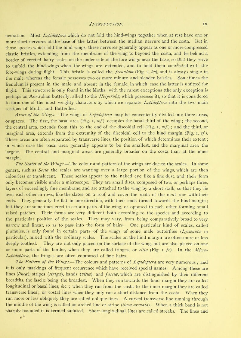 neuration. Most Lepidoptera which do not fold the hind-wings together when at rest have one or more short nervures at the base of the latter, between the median nervure and the costa. But in those species which fold the hind-wings, these nervures generally appear as one or more compressed elastic bristles, extending from the membrane of the wing to beyond the costa, and lie behind a border of erected hairy scales on the under side of the fore-wings near the base, so tUat they serve to unfold the hind-wings when the wings are extended, and to hold them connected with the fore-wings during flight. This bristle is called the frenulum (Fig. 2, hb), and is always single in the male, whereas the female possesses two or more minute and slender bristles. Sonietimes the frenulum is present in the male and absent in the female, in which case the latter is unfitted for flight. This structure is only found in the Moths, with the rarest exceptions (the only exception is perhaps an Australian butterfly, allied to the Hesperidce, which possesses it), so that it is considered to form one of the most weighty characters by which we separate Lepidoptera into the two main sections of Moths and Butterflies. Areas of the Wings.—The wings of I^epidoptera may be conveniently divided into three areas, or spaces. The first, the basal area (Fig. i, wf), occupies the basal third of the wing ; the second, the central area, extends from this to the end of the discoidal cell (Fig. i, mf) ; and the third, or marginal area, extends from the extremity of the discoidal cell to the hind margin (Fig. i, sf). These areas are often separated by transverse lines, the position of which determines their extent; in which case the basal area generally appears to be the smallest, and the marginal area the largest. The central and marginal areas are generally broader on the costa than at the inner margin. The Scales of the Wings.—The colour and pattern of the wings are due to the scales. In some genera, such as Sesia, the scales are wanting over a large portion of the wings, which are then colourless or translucent. These scales appear to the naked eye like a fine dust, and their form only becomes visible under a microscope. They are small discs, composed of two, or perhaps three, layers of exceedingly fine membrane, and are attached to the wing by a short stalk, so that they lie over each other in rows, like the slates on a roof, and cover the roots of the next row with their ends. They generally lie flat in one direction, with their ends turned towards the hind margin ; but they are sometimes erect in certain parts of the wing, or opposed to each other, forming small raised patches. Their forms are very different, both according to the species and according to the particular position of the scales. They may vary, from being comparatively broad to very narrow and linear, so as to pass into the form of hairs. One particular kind of scales, called plumules, is only found in certain parts of the wings of some male butterflies {Lyccenidce in particular), mixed with the ordinary scales. The scales on the hind margin are often more or less deeply toothed. Tliey are not only placed on the surface of the wing, but are also placed on one or more parts of the border, when they are called fringes, or cilia (Fig. \,fr). In the Micro- Lepidoptera, the fringes are often composed of fine hairs. The Pattern of the Wings.—The colours and patterns of Lepidoptera are very numerous ; and it is only markings of frequent occurrence which have received special names. Among these are lines {linece), stripes (strigce), bands (yittee), and fasciee, which are distinguished by their different breadths, the fasciae being the broadest. When they run towards the hind margin they are called longitudinal or basal lines, &c. ; when they run from the costa to the inner margin they are called transverse lines ; or costal lines when they only run a short distance from the costa. When they run more or less obliquely they are called oblique lines. A curved transverse line running through the middle of the wing is called an arched line or stripe {linea arcuata). When a thick band is not sharply bounded it is termed suffused. Short longitudinal lines are called streaks, The lines and