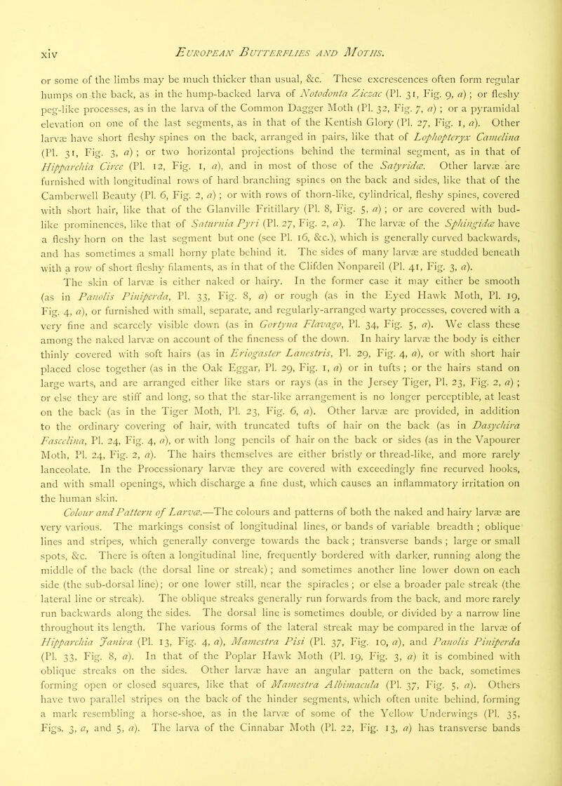 or some of the limbs may be much thicker than usual, &c. These excrescences often form regular humps on the back, as in the hump-backed larva of Notodonta Ziczac (PI. 31, Fig. 9, a) ; or fleshy peg-like processes, as in the larva of the Common Dagger Moth (PI. 32, P'ig. 7, <?) ; or a pyramidal elevation on one of the last segments, as in that of the Kentish Glory (PI. 27, Fig. i, a). Other larvae have short fleshy spines on the back, arranged in pairs, like that of Loplioptcryx Camclina (PI. 31, Fig. 3, a) \ or two horizontal projections behind the terminal segment, as in that of Hipparchia Circe (PL 12, Fig. i, a), and in most of those of the Satyridce. Other larvae are furnished with longitudinal rows of hard branching spines on the back and sides, like that of the Camberwell Beauty (PI. 6, Fig. 2, a) ; or with rows of thorn-like, cylindrical, fleshy spines, covered with short hair, like that of the Glanville Fritillary (PI. 8, Fig. 5, a) ; or are covered with bud- like prominences, like that of Saiurnia Pyri (PI. 27, Fig. 2, a). The larvae of the Sphingidce have a fleshy horn on the last segment but one (see PI. 16, &c.), which is generally curved backwards, and has sometimes a small horny plate behind it. The sides of many larvae are studded beneath with a row of short fleshy filaments, as in that of the Clifden Nonpareil (PI. 41, Fig. 3, a). The skin of larvae is either naked or hairy. In the former case it may either be smooth (as in Panolis Piniperda, PI. 33, P'ig. 8, a) or rough (as in the Eyed Plawk Moth, PI. 19, P'ig. 4, a), or furnished with small, separate, and regularly-arranged warty processes, covered with a very fine and scarcely visible down (as in Goriyna Flavago, PI. 34, P'ig. 5, a). We class these among the naked larvae on account of the fineness of the down. In hairy lai-vm the body is either thinly covered with soft hairs (as in Eriogastcr Lancstris, PI. 29, Fig. 4, a), or with short hair placed close together (as in the Oak Eggar, PI. 29, Eig. a) or in tufts ; or the hairs stand on large wart.s, and are arranged either like stars or rays (as in the Jersey Tiger, PI. 23, Fig. 2, a) ; or else they are stiff and long, so that the star-like arrangement is no longer perceptible, at least on the back (as in the Tiger IMoth, PI. 23, Fig. 6, a). Other larvae are provided, in addition to the ordinary covering of hair, with truncated tufts of hair on the back (as in Dasychira Fascclina, PI. 24, Fig. 4, o), or with long pencils of hair on the back or sides (as in the Vapourer Moth, PI. 24, P'ig. 2, a). The hairs themselves are either bristly or thread-like, and more rarely lanceolate. In the Processionary larvae they arc covered with exceedingly fine recurved hooks, and with small openings, which discharge a fine dust, which causes an inflammatory irritation on the human skin. Colour and Pattern of Larvee.—The colours and patterns of both the naked and hairy larvae are very various. The markings consist of longitudinal lines, or bands of variable breadth ; oblique lines and stripes, which generally converge towards the back ; transverse bands ; large or small spots, &c. There is often a longitudinal line, frequently bordered with darker, running along the middle of the back (the dorsal line or streak) ; and sometimes another line lower down on each side (the sub-dorsal line); or one lower still, near the spiracles ; or else a broader pale streak (the lateral line or streak). The oblique streaks generally run forwards from the back, and more rarely run backwards along the sides. The dorsal line is sometimes double, or divided by a narrow line throughout its length. The various forms of the lateral streak may be compared in the larvae of Hipparchia Janira (PI. 13, Fig. 4, a), Mainestra Pisi (PL 37, Fig. 10, a), and Panolis Piniperda (PI. 33, Fig. 8, ci). In that of the Poplar Hawk Moth (PL 19, Fig. 3, a) it is combined with oblique streaks on the sides. Other larvae have an angular pattern on the back, sometimes forming open or closed squares, like that of Mainestra Albiinacula (PL 37, Fig. 5, a). Others have two parallel stripes on the back of the hinder segments, which often unite behind, forming a mark resembling a horse-shoe, as in the larv'ae of some of the Yellow Underwings (PL 35, Figs. 3, a, and 5, a). The larva of the Cinnabar Moth (PL 22, Fig. 13, a) has transverse bands