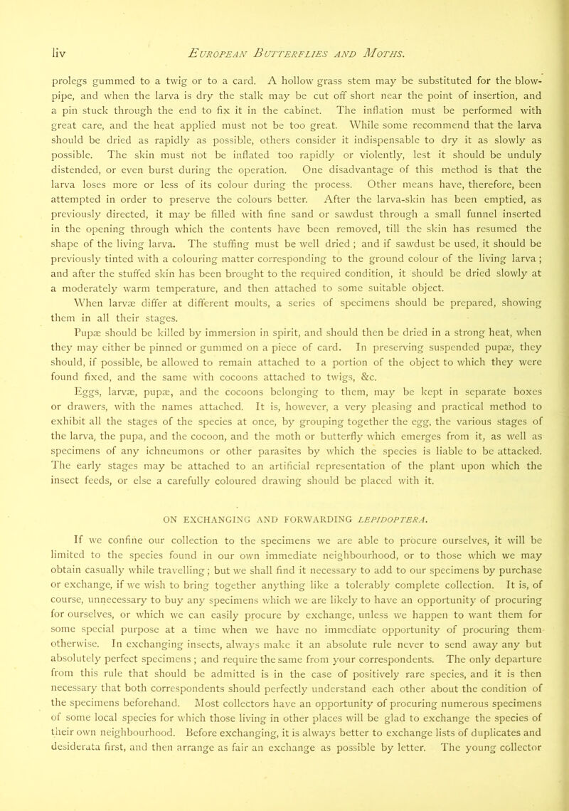 prolegs gummed to a twig or to a card. A hollow grass stem may be substituted for the blow- pipe, and when the larva is dry the stalk may be cut off short near the point of insertion, and a pin stuck through the end to fix it in the cabinet. The inflation must be performed with great care, and the heat applied must not be too great. While some recommend that the larva should be dried as rapidly as possible, others consider it indispensable to dry it as slowly as po.ssible. The skin must not be inflated too rapidly or violently, lest it should be unduly distended, or even burst during the operation. One disadvantage of this method is that the larva loses more or less of its colour during the process. Other means have, therefore, been attempted in order to preserve the colours better. After the larva-skin has been emptied, as previously directed, it may be filled with fine sand or sawdust through a small funnel inserted in the opening through which the contents have been removed, till the skin has resumed the shape of the living larva. The stuffing must be well dried ; and if sawdust be used, it should be previously tinted with a colouring matter corresponding to the ground colour of the living larva ; and after the stuffed skin has been brought to the required condition, it should be dried slowly at a moderately warm temperature, and then attached to some suitable object. When larv'ae differ at different moults, a series of specimens should be prepared, showing them in all their stages. Pupse should be killed by immersion in spirit, and should then be dried in a strong heat, when they may either be pinned or gummed on a piece of card. In preserving suspended pupae, they should, if possible, be allowed to remain attached to a portion of the object to which they were found fixed, and the same with cocoons attached to twigs, &c. Eggs, larvae, pupae, and the cocoons belonging to them, may be kept in separate boxes or drawers, with the names attached. It is, however, a very pleasing and practical method to exhibit all the stages of the species at once, by grouping together the egg, the various stages of the larv'a, the pupa, and the cocoon, and the moth or butterfly which emerges from it, as well as specimens of any ichneumons or other parasites by which the species is liable to be attacked. The early stages may be attached to an artificial representation of the plant upon which the insect feeds, or else a carefully coloured drawing should be placed with it. ON EXCHANGING AND FORWARDING LEPIDOPTERA. If we confine our collection to the specimens we are able to procure ourselves, it will be limited to the species found in our own immediate neighbourhood, or to those which we may obtain casually while travelling; but we shall find it necessary to add to our specimens by purchase or exchange, if we wish to bring together anything like a tolerably complete collection. It is, of course, unnecessary to buy any specimens which we are likely to have an opportunity of procuring for ourselves, or which we can easily procure by exchange, unless we happen to want them for some special purpose at a time when we have no immediate opportunity of procuring them otherwise. In exchanging insects, always make it an absolute rule never to send away any but absolutely perfect specimens ; and require the same from your correspondents. The only departure from this rule that should be admitted is in the case of positiv^ely rare species, and it is then necessary that both correspondents should perfectly understand each other about the condition of the specimens beforehand. IMost collectors have an opportunity of procuring numerous specimens of some local species for which those living in other places will be glad to exchange the species of their own neighbourhood. Before exchanging, it is always better to exchange lists of duplicates and desiderata first, and then arrange as fair an exchange as possible by letter. The young collector