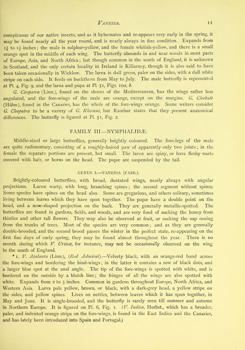 conspicuous of our native insects, and as it hybernates and re-appears very early in the spring, it may be found nearly all the year round, and is nearly always in fine condition. Expands from li to inches; the male is sulphur-yellow, and the female whitish-yellow, and there is a small orange spot in the middle of each wing. The butterfly abounds in and near woods in most parts of Europe, Asia, and North Africa; but though common in the south of England, it is unknown in Scotland, and the only certain locality in Ireland is Killarney, though it is also said to have been taken occasionally in Wicklow. The larva is dull green, paler on the sides, with a dull white stripe on each side. It feeds on buckthorn from May to July. The male butterfly is represented at PI. 4, Fig. 9, and the larva and pupa at PI. 51, Figs, loa, b. G. Cleopatra (Linn.), found on the shores of the Mediterranean, has the wings rather less angulated, and the fore-wings of the male are orange, except on the margins. G. Cleobnle (Hiibn.), found in the Canaries, has the whole of the fore-wings orange. Some writers consider G. Cleopatra to be a variety of G. Rhamni, but Rambur states that they present anatomical differences. The butterfly is figured at PL 51, Fig. 2. FAMILY III.—NYMPHALID^. Middle-sized or large butterflies, generally brightly coloured. The fore-legs of the male are quite rudimentary, consisting of a roughly-haired paw of apparently only two joints ; in the female the separate portions are present, but small. The larvae are spiny, or have fleshy warts covered with hair, or horns on the head. The pupae are suspended by the tail. GENUS I.—VANESSA (FABR.). Brightly-coloured butterflies, with broad, dentated wings, nearly always with angular projections. Larvae warty, with long, branching spines ; the second segment without spines. Some species have spines on the head also. Some are gregarious, and others solitary, sometimes living between leaves which they have spun together. The pupae have a double point on the head, and a nose-shaped projection on the back. They are generally metallic-spotted. The butterflies are found in gardens, fields, and woods, and are very fond of sucking the honey from thistles and other tall flowers. They may also be observed at fruit, or sucking the sap oozing from the trunks of trees. Most of the species are very common ; and as they are generally double-brooded, and the second brood passes the winter in the perfect state, re-appearing on the first fine days of early spring, they may be found almost throughout the year. There is no month during which V. Urticce, for instance, may not be occasionally observed on the wing in the south of England. * I. V. Atalanta (Linn.), {Red Admiral).—Velvety black, with an orange-red band across the fore-wings and bordering the hind-wings; in the latter it contains a row of black dots, and a larger blue spot at the anal angle. The tip of the fore-wings is spotted with white, and is bordered on the outside by a bluish line; the fringes of all the wings are also spotted with white. Expands from 2 to 3 inches. Common in gardens throughout Europe, North Africa, and Western Asia. Larva pale yellow, brown, or black, with a dark-grey head, a yellow stripe on the sides, and yellow spines. Lives on nettles, between leaves which it has spun together, in May and June. It is single-brooded, and the butterfly is rarely seen till summer and autumn in Northern Europe. It is figured on PI. 6, Fig. i. (V. Indica, Herbst, which has a broader, paler, and indented orange stripe on the fore-wings, is found in the East Indies and the Canaries, and has lately been introduced into Spain and Portugal.)