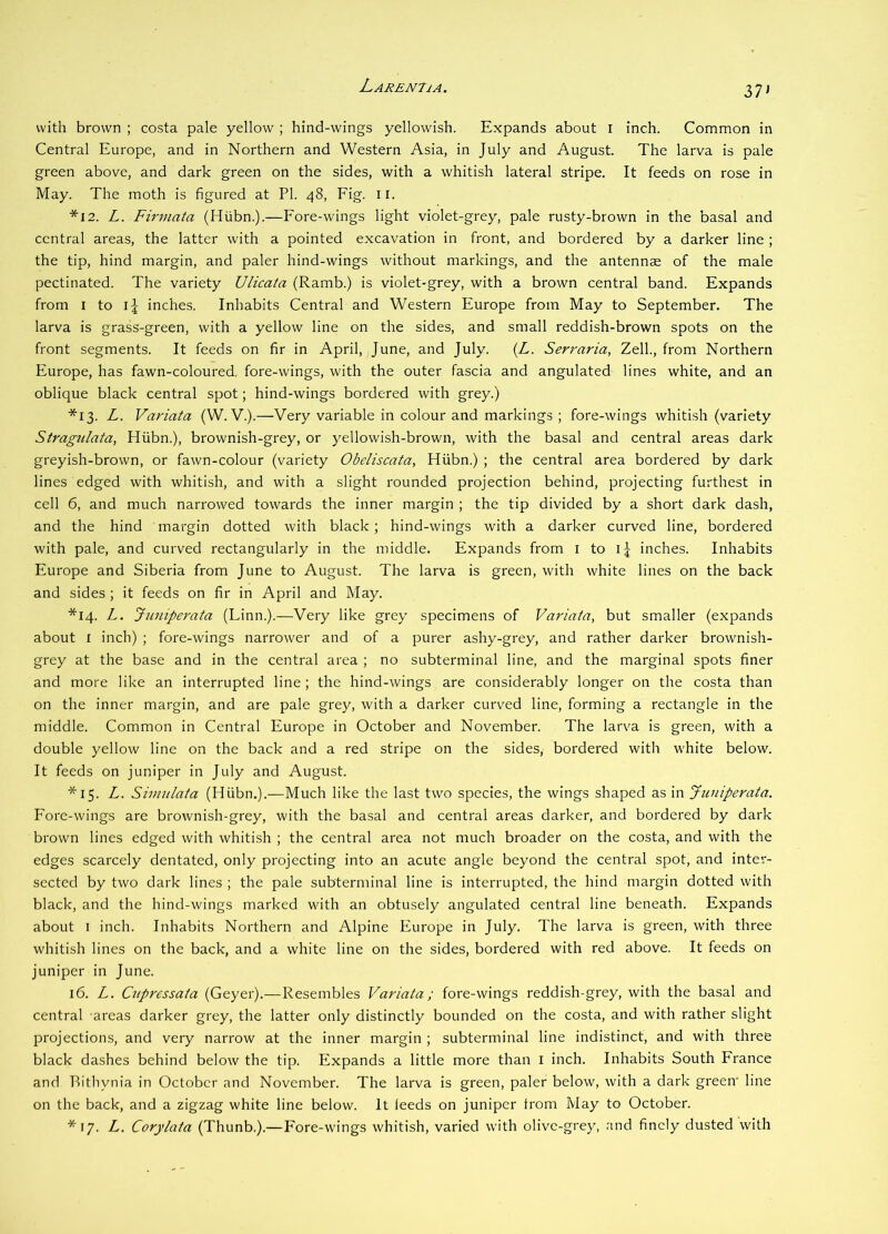 with brown ; costa pale yellow ; hind-wings yellowish. Expands about i inch. Common in Central Europe, and in Northern and Western Asia, in July and August. The larva is pale green above, and dark green on the sides, with a whitish lateral stripe. It feeds on rose in May. The moth is figured at PI. 48, Fig. ii. *12. L. Firmata (Hiibn.).—Fore-wings light violet-grey, pale rusty-brown in the basal and central areas, the latter with a pointed excavation in front, and bordered by a darker line ; the tip, hind margin, and paler hind-wings without markings, and the antennae of the male pectinated. The variety Ulicata (Ramb.) is violet-grey, with a brown central band. Expands from I to ij inches. Inhabits Central and Western Europe from May to September. The larva is grass-green, with a yellow line on the sides, and small reddish-brown spots on the front segments. It feeds on fir in April, June, and July. {L. Serraria, Zell., from Northern Europe, has fawn-coloured, fore-wings, with the outer fascia and angulated lines white, and an oblique black central spot; hind-wings bordered with grey.) *13. L. Variata (W. V.).—Very variable in colour and markings ; fore-wings whitish (variety Stragulata, Hiibn.), brownish-grey, or yellowish-brown, with the basal and central areas dark greyish-brown, or fawn-colour (variety Obeliscata, Hiibn.) ; the central area bordered by dark lines edged with whitish, and with a slight rounded projection behind, projecting furthest in cell 6, and much narrowed towards the inner margin ; the tip divided by a short dark dash, and the hind margin dotted with black ; hind-wings with a darker curved line, bordered with pale, and curved rectangularly in the middle. Expands from i to inches. Inhabits Europe and Siberia from June to August. The larva is green, with white lines on the back and sides ; it feeds on fir in April and May. *14. L. Juniperata (Linn.).—Very like grey specimens of Variata, but smaller (expands about I inch) ; fore-wings narrower and of a purer ashy-grey, and rather darker brownish- grey at the base and in the central area ; no subterminal line, and the marginal spots finer and more like an interrupted line ; the hind-wings are considerably longer on the costa than on the inner margin, and are pale grey, with a darker curved line, forming a rectangle in the middle. Common in Central Europe in October and November. The larva is green, with a double yellow line on the back and a red stripe on the sides, bordered with white below. It feeds on juniper in July and August. *15. L. Simulata (Hiibn.).—Much like the last two species, the wings shaped as in Jiiniperata. Fore-wings are brownish-grey, with the basal and central areas darker, and bordered by dark brown lines edged with whitish ; the central area not much broader on the costa, and with the edges scarcely dentated, only projecting into an acute angle beyond the central spot, and inter- sected by two dark lines ; the pale subterminal line is interrupted, the hind margin dotted with black, and the hind-wings marked with an obtusely angulated central line beneath. Expands about I inch. Inhabits Northern and Alpine Europe in July. The larva is green, with three whitish lines on the back, and a white line on the sides, bordered with red above. It feeds on juniper in June. 16. L. Cupressata (Geyer).—Resembles Variata; fore-wings reddish-grey, with the basal and central areas darker grey, the latter only distinctly bounded on the costa, and with rather slight projections, and very narrow at the inner margin ; subterminal line indistinct, and with three black dashes behind below the tip. Expands a little more than i inch. Inhabits South France and Rithynia in October and November. The larva is green, paler below, with a dark green' line on the back, and a zigzag white line below. It feeds on juniper from May to October. *17. Z. Corylata (Thunb.).—Fore-wings whitish, varied with olive-grey, and finely dusted with