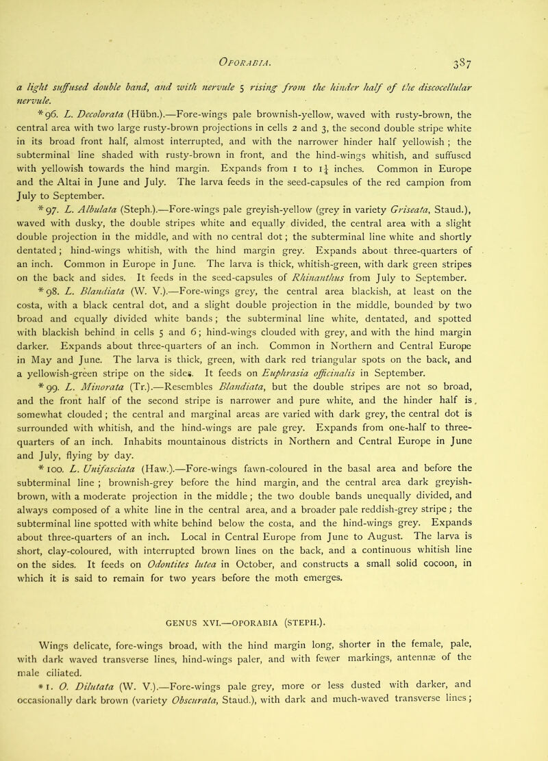 a light sujfused double band, and with nervule 5 rising from the hinder half of the discocellular nervule. *96. L. Decolorata (Hiibn.).—Fore-wings pale brownish-yellow, waved with rusty-brown, the central area with two large rusty-brown projections in cells 2 and 3, the second double stripe white in its broad front half, almost interrupted, and with the narrower hinder half yellowish ; the subterminal line shaded with rusty-brown in front, and the hind-wings whitish, and suffused with yellowish towards the hind margin. Expands from i to i| inches. Common in Europe and the Altai in June and July. The larva feeds in the seed-capsules of the red campion from July to September. *97. L. Albulata (Steph.).—Fore-wings pale greyish-yellow (grey in variety Griseata, Stand.), waved with dusky, the double stripes white and equally divided, the central area with a slight double projection in the middle, and with no central dot; the subterminal line white and shortly dentated; hind-wings whitish, with the hind margin grey. Expands about three-quarters of an inch. Common in Europe in June. The larva is thick, whitish-green, with dark green stripes on the back and sides. It feeds in the seed-capsules of Rhinanthus from July to September. *98. L. Blandiata (W. V.).—Fore-wings grey, the central area blackish, at least on the costa, with a black central dot, and a slight double projection in the middle, bounded by two broad and equally divided white bands; the subterminal line white, dentated, and spotted with blackish behind in cells 5 and 6; hind-wings clouded with grey, and with the hind margin darker. Expands about three-quarters of an inch. Common in Northern and Central Europe in May and June. The larva is thick, green, with dark red triangular spots on the back, and a yellowish-green stripe on the sides. It feeds on Euphrasia officinalis in September. *99. L. Mmorata (Tr.).—Resembles Blandiata, but the double stripes are not so broad, and the front half of the second stripe is narrower and pure white, and the hinder half is. somewhat clouded; the central and marginal areas are varied with dark grey, the central dot is surrounded with whitish, and the hind-wings are pale grey. Expands from one-half to three- quarters of an inch. Inhabits mountainous districts in Northern and Central Europe in June and July, flying by day. * 100. L. Unifasciata (Haw.).—Fore-wings fawn-coloured in the basal area and before the subterminal line ; brownish-grey before the hind margin, and the central area dark greyish- brown, with a moderate projection in the middle; the two double bands unequally divided, and always composed of a white line in the central area, and a broader pale reddish-grey stripe j the subterminal line spotted with white behind below the costa, and the hind-wings grey. Expands about three-quarters of an inch. Local in Central Europe from June to August. The larva is short, clay-coloured, with interrupted brown lines on the back, and a continuous whitish line on the sides. It feeds on Odontites lutea in October, and constructs a small solid cocoon, in which it is said to remain for two years before the moth emerges. GENUS XVI.—OPORABIA (STEPH.). Wings delicate, fore-wings broad, with the hind margin long, shorter in the female, pale, with dark waved transverse lines, hind-wings paler, and with fewer markings, antennse of the male ciliated. * I. O. Dilntata (W. V.).—Fore-wings pale grey, more or less dusted with darker, and occasionally dark brown (variety Obscurata, Stand.), with dark and much-waved transverse lines;
