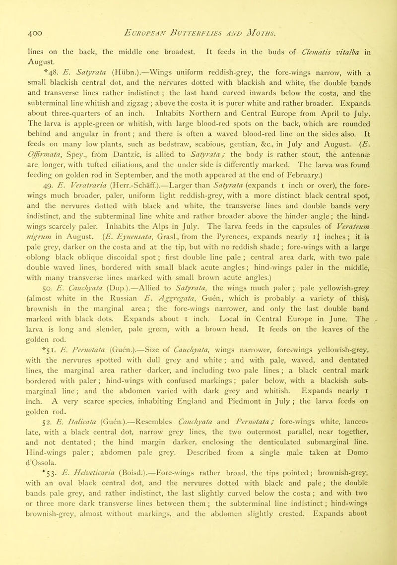 lines on the back, the middle one broadest. It feeds in the buds of Clematis vitalba in August. *48. E. Satyraia (Hiibn.).—Wings uniform reddish-grey, the fore-wings narrow, with a small blackish central dot, and the nervures dotted with blackish and white, the double bands and transverse lines rather indistinct ; the last band curved inwards below the costa, and the subterminal line whitish and zigzag ; above the costa it is purer white and rather broader. Expands about three-quarters of an inch. Inhabits Northern and Central Europe from April to July. The larva is apple-green or whitish, with large blood-red spots on the back, which are rounded behind and angular in front; and there is often a waved blood-red line on the sides also. It feeds on many low plants, such as bedstraw, scabious, gentian, &c., in July and August. {E. Offirmata, Spey., from Dantzic, is allied to Satyrata; the body is rather stout, the antenna; are longer, with tufted ciliations, and the under side is differently marked. The larva was found feeding on golden rod in September, and the moth aj^peared at the end of Eebruary.) 49. E. Veratraria (Herr.-Schaff.).—Larger than Satyrata (expands i inch or over), the fore- wings much broader, paler, uniform light reddish-grey, with a more distinct black central spot, and the nervures dotted with black and white, the transverse lines and double bands very indistinct, and the subterminal line white and rather broader above the hinder angle; the hind- wings scarcely paler. Inhabits the Alps in July. The larva feeds in the capsules of Veratrum nigrnvi in August. (A. Eyuensata, Grasl,, from the Pyrenees, expands nearly i J inches ; it is pale grey, darker on the costa and at the tip, but with no reddish shade ; fore-wings with a large oblong black oblique discoidal spot ; first double line pale ; central area dark, with two pale double waved lines, bordered with small black acute angles ; hind-wings paler in the middle, with many transverse lines marked with small brown acute angles.) 50. E. Caitchyata (Dup.).—Allied to Satyrata, the wings much paler ; pale yellowish-grey (almost white in the Russian E. Aggregata, Guen., which is probably a variety of this), brownish in the marginal area; the fore-wings narrower, and only the last double band marked with black dots. Expands about i inch. Local in Central Europe in June. The larva is long and slender, pale green, with a brown head. It feeds on the leaves of the golden rod. *51. E. Pcniotata (Guen.).—Size of Cauchyata, wings narrower, fore-wings yellowish-grey, with the nervures spotted with dull grey and white ; and with pale, waved, and dentated lines, the marginal area rather darker, and including two pale lines; a black central mark bordered with paler; hind-wings with confused markings; paler below, with a blackish sub- marginal line; and the abdomen varied with dark grey and whitish. Expands nearly i inch. A very scarce species, inhabiting England and Piedmont in July ; the larva feeds on golden rod. 52. E. Italicata (Guen.).—Resembles Cauchyata and Pernotata; fore-wings white, lanceo- late, with a black central dot, narrow grey lines, the two outermost parallel, near together, and not dentated ; the hind margin darker, enclosing the denticulated submarginal line. Hind-wings paler; abdomen pale grey. Described from a single male taken at Domo d’Ossola. *53. E. Helveticaria (Boisd.).—Pore-wings rather broad, the tips pointed ; brownish-grey, with an oval black central dot, and the nervures dotted with black and pale; the double bands pale grey, and rather indistinct, the last slightly curved below the costa ; and with two or three more dark transverse lines between them ; the subterminal line indistinct ; hind-wings brownish-grey, almost without markings, and the abdomen slightly crested. E.xpands about