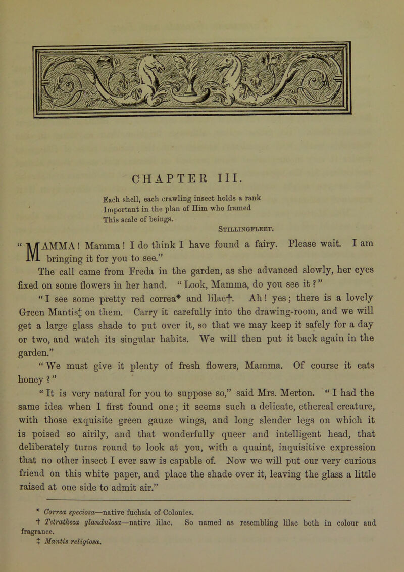 Each shell, each crawling insect holds a rank Important in the plan of Him who framed This scale of beings. Stillingfleet. “ ly/TAMMA! Mamma! I do think I have found a fairy. Please wait. I am lYl bringiog it for you to see.” The call came from Freda in the garden, as she advanced slowly, her eyes fixed on some flowers in her hand. “ Look, Mamma, do you see it ? ” “ I see some pretty red correa* and lilacf*. Ah 1 yes; there is a lovely Green Mantis;]; on them. Carry it carefully into the drawing-room, and we will get a large glass shade to put over it, so that we may keep it safely for a day or two, and watch its singular habits. We will then put it back again in the garden.” “ We must give it plenty of fresh flowers. Mamma. Of course it eats honey ? ” “ It is very natural for you to suppose so,” said Mrs. Merton.  I had the same idea when I first found one; it seems such a delicate, ethereal creature, with those exquisite green gauze wings, and long slender legs on which it is poised so airily, and that wonderfully queer and intelligent head, that deliberately turns round to look at you, with a quaint, inquisitive expression that no other insect I ever saw is capable of. Now we will put our very curious friend on this white paper, and place the shade over it, leaving the glass a little raised at one side to admit air.” * Correa speciosa—native fuchsia of Colonies, t Tetratheca glandulosa—native lilac. So named fragrance. + Mantis religiosa. as resembling lilac both in colour and
