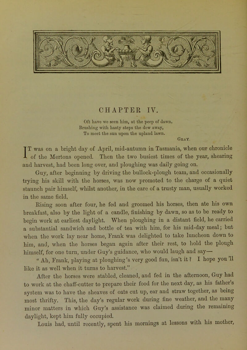 Oft have we seen him, at the peep of dawn, Brushing with hasty steps the dew away, To meet the sun upon the upland lawn. Gray, IT was on a bright day of April, mid-autumn in Tasmania, when our chronicle of the Mertons opened. Then the two busiest times of the year, shearing and harvest, had been long over, and ploughing was daily going on. Guy, after beginning by driving the bullock-plough team, and occasionally trying his skill with the horses, was now promoted to the charge of a quiet staunch pair himself, whilst another, in the care of a trusty man, usually worked in the same field. Rising soon after four, he fed and groomed his horses, then ate his own breakfast, also by the light of a candle, finishing by dawn, so as to be ready to begin work at earliest daylight. When ploughing in a distant field, he carried a substantial sandwich and bottle of tea with him, for his mid-day meal; but when the work lay near home, Frank was delighted to take luncheon down to him, and, when the horses began again after their rest, to hold the plough himself, for one turn, under Guy’s guidance, who would laugh and say— “ Ah, Frank, playing at ploughing’s very good fun, isn’t it ? I hope you ’ll like it as well when it turns to harvest.” After the horses were stabled, cleaned, and fed in the afternoon, Guy had to work at the chaff-cutter to prepare their food for the next day, as his father s system was to have the sheaves of oats cut up, ear and straw together, as being most thrifty. This, the day’s regular work during fine weather, and the many minor matters in which Guy’s assistance was claimed during the remaining daylight, kept him fully occupied. Louis had, until recently, spent his mornings at lessons with his mother.