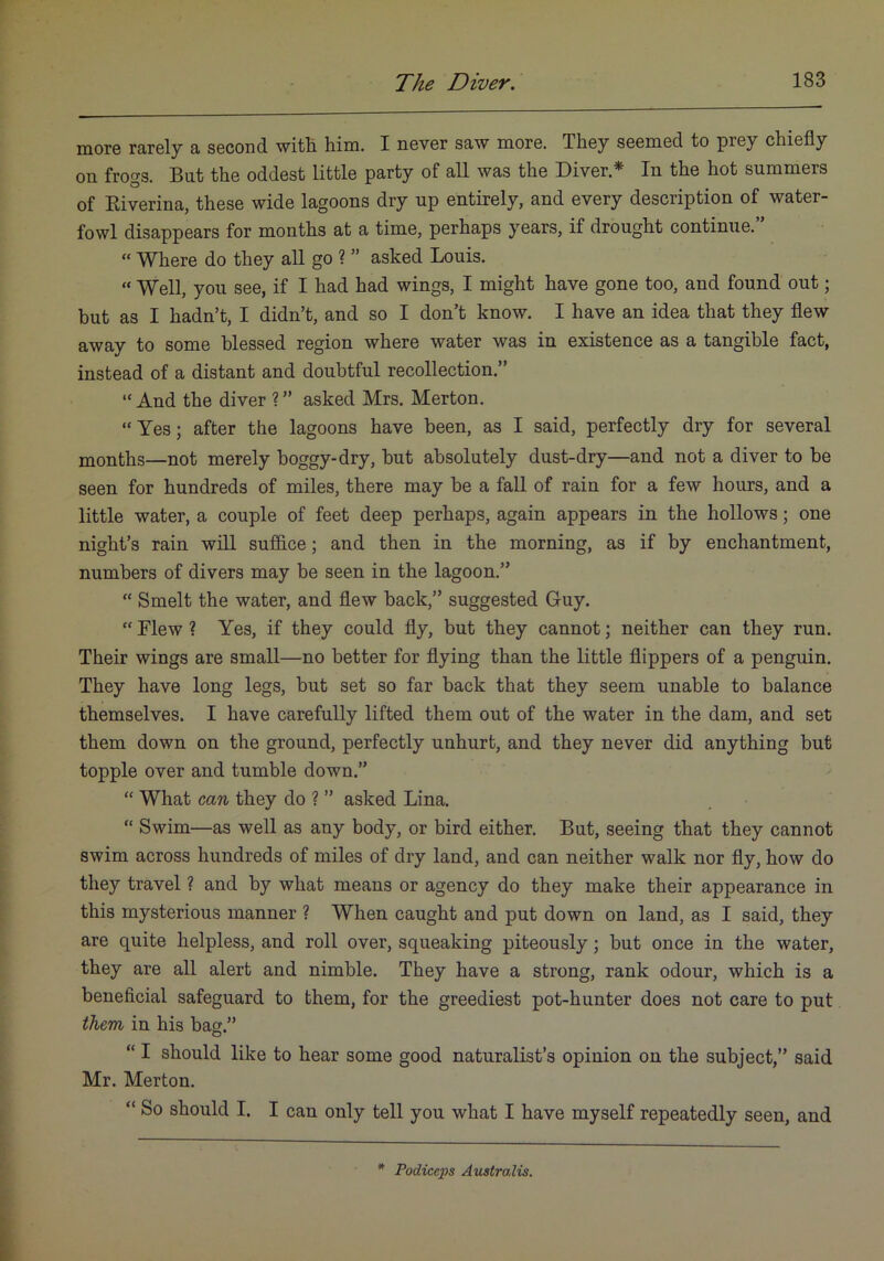 morG rarely a second witli him. I never saw more. They seemed to prey chiefly on frogs. But the oddest little party of all was the Diver.* In the hot summers of Eiverina, these wide lagoons dry up entirely, and every description of water- fowl disappears for months at a time, perhaps years, if drought continue.” “ Where do they all go ? ” asked Louis. “ Well, you see, if I had had wings, I might have gone too, and found out; but as I hadn’t, I didn’t, and so I don’t know. I have an idea that they flew away to some blessed region where water was in existence as a tangible fact, instead of a distant and doubtful recollection.” “ And the diver ? ” asked Mrs. Merton. “Yes; after the lagoons have been, as I said, perfectly dry for several months—not merely boggy-dry, but absolutely dust-dry—and not a diver to be seen for hundreds of miles, there may be a fall of rain for a few hours, and a little water, a couple of feet deep perhaps, again appears in the hollows; one night’s rain will sufflce; and then in the morning, as if by enchantment, numbers of divers may be seen in the lagoon.” “ Smelt the water, and flew back,” suggested Guy. “ Flew ? Yes, if they could fly, but they cannot; neither can they run. Their wings are small—no better for flying than the little flippers of a penguin. They have long legs, but set so far back that they seem unable to balance themselves. I have carefully lifted them out of the water in the dam, and set them down on the ground, perfectly unhurt, and they never did anything but topple over and tumble down.” “ What can they do ? ” asked Lina. “ Swim—as well as any body, or bird either. But, seeing that they cannot swim across hundreds of miles of dry land, and can neither walk nor fly, how do they travel ? and by what means or agency do they make their appearance in this mysterious manner ? When caught and put down on land, as I said, they are quite helpless, and roll over, squeaking piteously; but once in the water, they are all alert and nimble. They have a strong, rank odour, which is a beneficial safeguard to them, for the greediest pot-hunter does not care to put them in his bag.” “ I should like to hear some good naturalist’s opinion on the subject,” said Mr. Merton. “ So should I. I can only tell you what I have myself repeatedly seen, and Podiceps Australis.