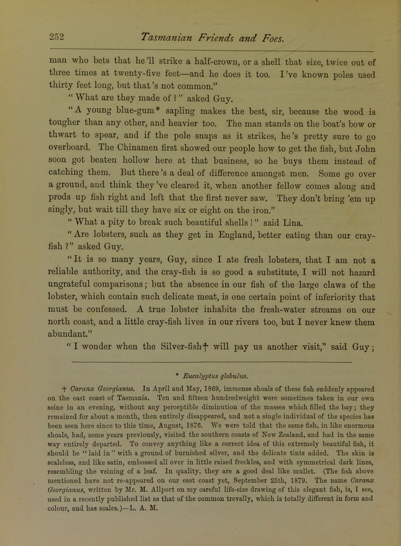 man who bets that he’ll strike a half-crown, or a shell that size, twice out of three times at twenty-five feet—and he does it too. I’ve known poles used thirty feet long, but that’s not common.” “ What are they made of ? ” asked Guy. “A young blue-gum* sapling makes the best, sir, because the wood is tougher than any other, and heavier too. The man stands on the boat’s bow or thwart to spear, and if the pole snaps as it strikes, he’s pretty sure to go overboard. The Chinamen first showed our people how to get the fish, but John soon got beaten hollow here at that business, so he buys them instead of catching them. But there’s a deal of difference amongst men. Some go over a ground, and think they’ve cleared it, when another fellow comes along and prods up fish right and left that the first never saw. They don’t bring ’em up singly, but wait till they have six or eight on the iron.” “ What a pity to break such beautiful shells ! ” said Lina. “ Are lobsters, such as they get in England, better eating than our cray- fish ? ” asked Guy. “It is so many years, Guy, since I ate fresh lobsters, that I am not a reliable authority, and the cray-fish is so good a substitute, I will not hazard ungrateful comparisons; but the absence in our fish of the large claws of the lobster, which contain such delicate meat, is one certain point of inferiority that must be confessed. A true lobster inhabits the fresh-water streams on our north coast, and a little cray-fish lives in our rivers too, but I never knew them abundant.” “ I wonder when the Silver-fish-f* will pay us another visit,” said Guy; * Eucalyptus glolulus. + Caranx Oeorgianus. In April and May, 1869, immense shoals of these fish suddenly appeared on the east coast of Tasmania. Ten and fifteen hundredweight were sometimes taken in our own seine in an evening, without any perceptible diminution of the masses which filled the bay; they remained for about a month, then entirely disappeared, and not a single individual of the speeies has been seen here since to this lime, August, 1876. We were told that the same fish, in like enormous shoals, had, some years previously, visited the southern coasts of New Zealand, and had in the same way entirely departed. To convey anything like a correct idea of this extremely beautiful fish, it should be “laid in” with a ground of burnished silver, and the delicate tints added. The skin is scaleless, and like satin, embossed all over in little raised freckles, and with symmetrical dark lines, resembling the veining of a leaf. In quality, they are a good deal like mullet. (The fish above mentioned have not re-appeared on our east coast yet, September 25th, 1879. The name Caranx Oeorgianus, written by Mr. M. Allport on my careful life-size drawing of this elegant fish, is, I see, used in a recently published list as that of the common trevally, which is totally different in form and colour, and has scales.)—L. A. M.