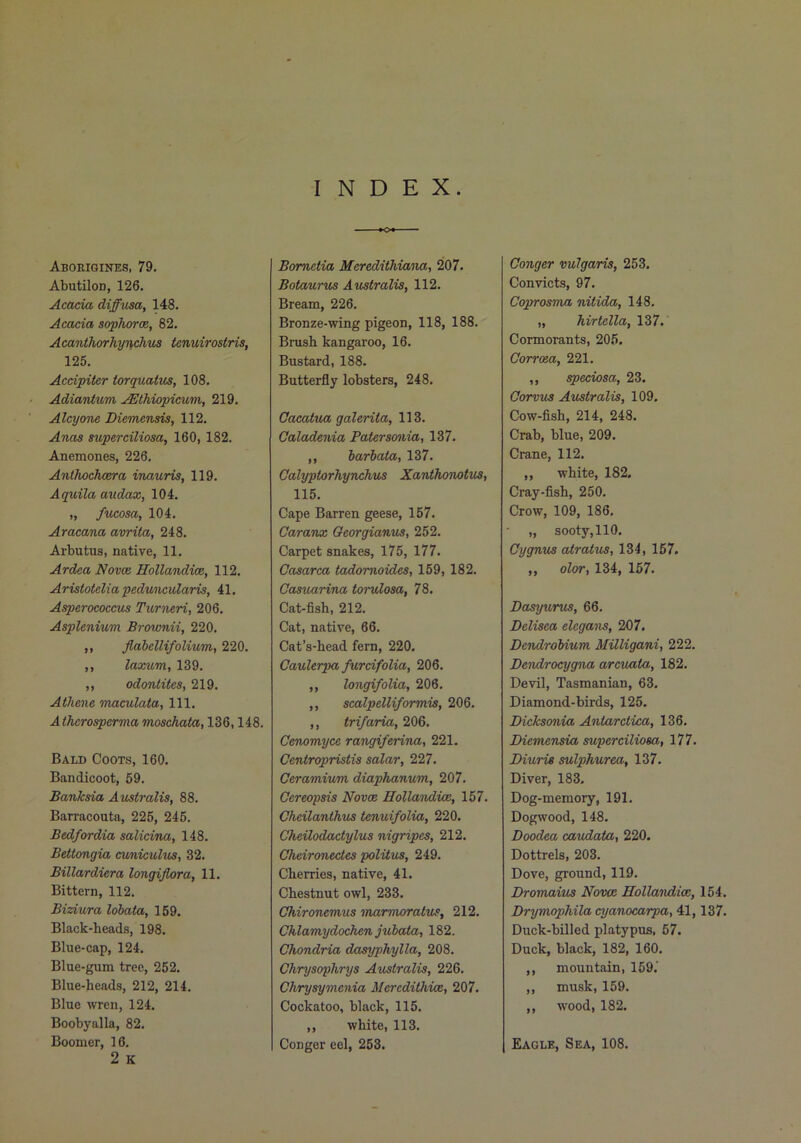INDEX. Aborigines, 79. AbutiloD, 126. Acacia diffusa, 148. Acacia sophorce, 82. Acanthorhypchus tcnuirostris, 125. Accipiter torquatus, 108. Adiantum ^thiopicum, 219. Alcyone Diemensis, 112. Anas superciliosa, 160, 182. Anemones, 226, Anthochocra inauris, 119. Aquilaaudax, 104. „ fucosa, 104. Aracana avrita, 248. Arbutus, native, 11. Ardea Novce Hollandice, 112. Arisiotelia peduncularis, 41, Asperococcus Turneri, 206, Asplenium Brovmii, 220. ,, flabellifolium, 220. ,, laxum, 139. ,, odontites, 219. Athene maculata. 111. Athcrosperma moschata, 136,148. Bald Coots, 160. Bandicoot, 59. Banksia Australis, 88. Barracoota, 225, 245. Bedfordia salicina, 148. Bettongia cuniculus, 32. Billardiera longijlora, 11. Bittern, 112. Biziura lobata, 159. Black-heads, 198. Blue-cap, 124. Blue-gum tree, 252, Blue-heads, 212, 214. Blue wren, 124. Boobyalla, 82, Boomer, 16. 2 K Bomctia Meredithiana, 207. Botaurus Australis, 112. Bream, 226. Bronze-wing pigeon, 118, 188. Brush kangaroo, 16. Bustard, 188. Butterfly lobsters, 248. Gaeatua galerita, 113. Caladenia Patersonia, 137. ,, barbata, 137. Calyptorhynchus Xanthonotus, 115, Cape Barren geese, 157. Caranx Georgianus, 252. Carpet snakes, 175, 177. Casarca tadomoides, 159, 182. Oasmrina torulosa, 78. Cat-fish, 212. Cat, native, 66. Cat’s-head fern, 220. Caulerpa furcifolia, 206. ,, longifolia, 206. ,, scalpelliformis, 206. ,, trifaria, 206. Cenomyce rangiferina, 221. Centropristis salar, 227. Oeramiwm diaphanum, 207. Cereopsis Novae HollandicB, 157. Cheilanthus tenuifolia, 220. CheilodcKtylus nigripes, 212. Oheironectes politus, 249. Cherries, native, 41. Chestnut owl, 233. Chironemus inarmoratus, 212, Chlamydochen jubata, 182. Chondria dasyphylla, 208. Chrysophrys Australis, 226. Chrysymenia Meredithice, 207. Cockatoo, black, 115. ,, white, 113. Conger eel, 253. Conger vulgaris, 253. Convicts, 97. Coprosma nitida, 148. „ hirtella, 137. Cormorants, 205. Corrcxa, 221. ,, speciosa, 23. Oorvus Australis, 109. Cow-fish, 214, 248. Crab, blue, 209. Crane, 112. ,, white, 182. Cray-fish, 250. Crow, 109, 186. „ sooty,110. Gy gnus atratus, 134, 157. ,, oloT, 134, 157. Dasywrus, 66. Delisea elegans, 207. Dendrobium MUligani, 222. Dendrocygna arcuata, 182. Devil, Tasmanian, 63, Diamond-birds, 125. Dicksonia Antarctica, 136, Diemensia superciliosa, 177. Diuris sulphurea, 137. Diver, 183. Dog-memory, 191. Dogwood, 148, Doodea caudata, 220. Dottrels, 203, Dove, ground, 119. Dromaius Novae Hollandioc, 154. Drymophila cyanocarpa, 41,137. Duck-billed platypus, 57. Duck, black, 182, 160. ,, mountain, 159.’ ,, musk, 159. ,, wood, 182. Eagle, Sea, 108.