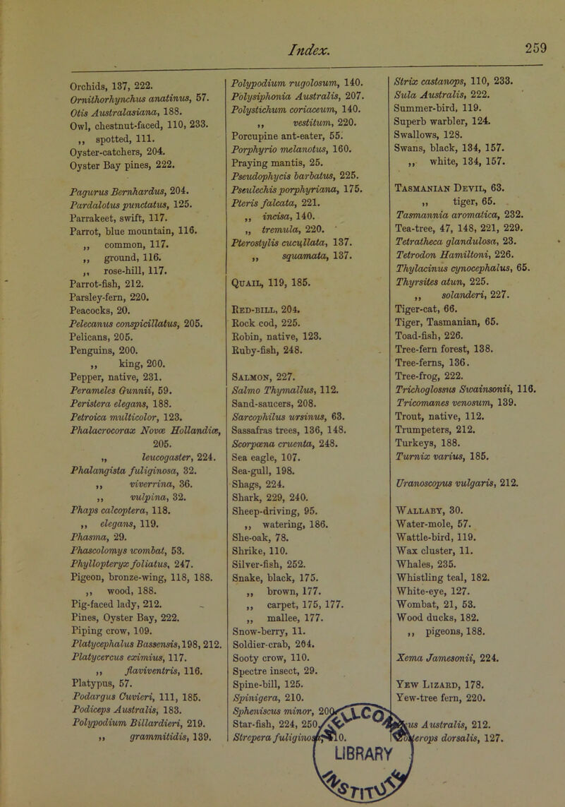 Orchids, 137, 222. Ornithorhynchus anatinus, 57. Otis Aiistralasiana, 188. Owl, chestnut-faced, 110, 233. ,, spotted. 111. Oyster-catchers, 204. Oyster Bay pines, 222. Pagurus Bernhardus, 204. Pardalotus punctatvs, 125. Parrakeet, swift, 117. Parrot, blue mountain, 116. ,, common, 117. ,, ground, 116. ,, rose-hill, 117. Parrot-fish, 212. Parsley-fem, 220. Peacocks, 20. Pelecanus conspidllatiis, 205. Pelicans, 205. Penguins, 200. ,, king, 200. Pepper, native, 231. Perameles Ounnii, 59. Peristera elegans, 188. Petroica multicolor, 123. Phalacrocorax Novcc Rollandiac, 205. „ leucogaster, 224. Phalangista fuliginosa, 32. ,, viverrina, 36. ,, vulpina, 32. Phaps calcoptera, 118. ,, elegans, 119. Phasma, 29. Phascolomys wombat, 53. Phyllopteryx foliatus, 247. Pigeon, bronze-wing, 118, 188. ,, wood, 188. Pig-faced lady, 212. Pines, Oyster Bay, 222. Piping crow, 109. Platycephalus Bassensis,1Q8,212. Platycercus eximius, 117. ,, flaviventris, 116. Platypus, 57. Podargus Cuvieri, 111, 185. Podiceps Australis, 183. Polypodium Billardieri, 219. ,, grammitidis, 139. Polypodium rugolosum, 140. Polysiphonia Australis, 207. Polystichum coriaceum, 140. ,, vestitum, 220. Porcupine ant-eater, 55i Porphyrio melanotus, 160. Praying mantis, 25, Pseudophycis barbatus, 225. Pseu lechis porphyriana, 175. Pteris falcata, 221. ,, incisa, 140, „ tremula, 220. ' Pterostylis cucv,llata, 137. „ squamata, 137. Quail, 119, 185. PiED-BILL, 204. Rock cod, 225, Robin, native, 123. Ruby-fish, 248. Salmon, 227. Salmo Thymallus, 112, Sand-saucers, 208, SarcopMlus ursinus, 63. Sassafras trees, 136, 148. Scorpoerta cruenta, 248. Sea eagle, 107. Sea-gull, 198. Shags, 224. Shark, 229, 240. Sheep-driving, 95. ,, watering, 186, She-oak, 78. Shrike, 110. Silver-fish, 262. Snake, black, 175. ,, brown, 177. ,, carpet, 175, 177. „ mallee, 177. Snow-berry, 11. Soldier-crab, 264. Sooty crow, 110. Spectre insect, 29. Spine-bill, 125. Spinigera, 210. Spheniscus minor, Star-fish, 224, 250,-^^ Strcpera fuliginoa LIBRARY Strix castanops, 110, 233. Sula Australis, 222. Summer-bird, 119, Superb warbler, 124. Swallows, 128. Swans, black, 134, 157. ,, white, 134, 157. Tasmanian Devii,, 63. „ tiger, 65. Tasmannia aromatica, 232. Tea-tree, 47, 148, 221, 229. Tetratheca glandulosa, 23. Tetrodon Hamiltoni, 226. Thylacinus cynocephalus, 65. Thyrsites aiun, 225. ,, solanderi, 227. Tiger-cat, 66. Tiger, Tasmanian, 66. Toad-fi.sh, 226. Tree-fern forest, 138. Tree-ferns, 136. Tree-frog, 222. Trichoglossus Swainsonii, 116. Tricomanes venosum, 139. Trout, native, 112, Trumpeters, 212. Turkeys, 188. Tumix varius, 185. Uranoscopus vulgaris, 212. Wallaby, 30. Water-mole, 67. Wattle-bird, 119. Wax cluster, 11. Whales, 235. Whistling teal, 182. White-eye, 127. Wombat, 21, 53. Wood ducks, 182. ,, pigeons, 188. Xerm Jamesonii, 224. Yew Lizard, 178. Yew-tree fern, 220. Australis, 212. JoWerojJS dorsalis, 127.