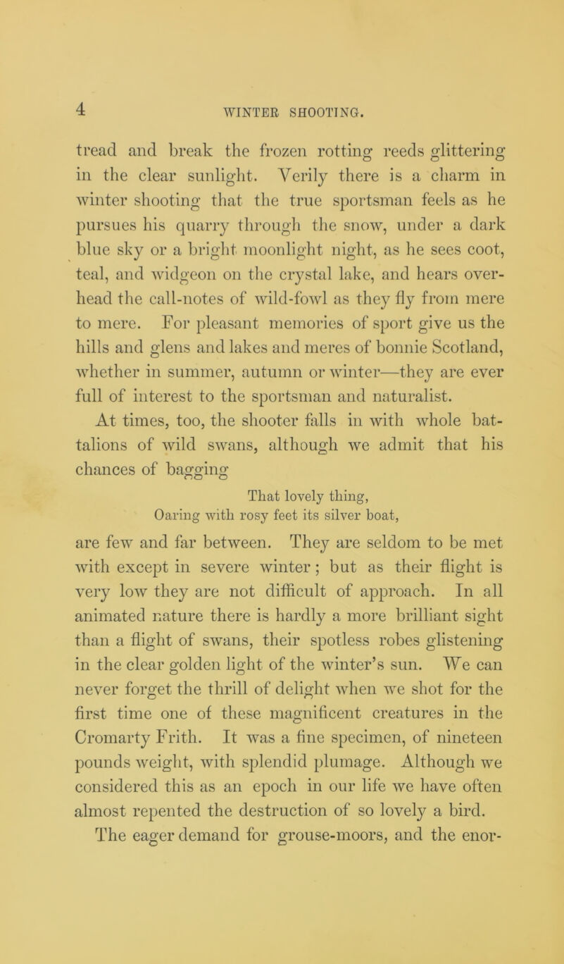WINTER SHOOTING. tread and break the frozen rotting reeds glittering in the clear sunlight. Verily there is a charm in winter shooting that the true sportsman feels as he pursues his quarry through the snow, under a dark blue sky or a bright moonlight night, as he sees coot, teal, and widgeon on the crystal lake, and hears over- head the call-notes of wild-fowl as they fly from mere to mere. For pleasant memories of sport give us the hills and glens and lakes and meres of bonnie Scotland, whether in summer, autumn or winter—they are ever full of interest to the sportsman and naturalist. At times, too, the shooter falls in with whole bat- talions of wild swans, although we admit that his chances of bagging That lovely thing, Oaring with rosy feet its silver boat, are few and far between. They are seldom to be met with except in severe winter; but as their flight is very low they are not difficult of approach. In all animated nature there is hardly a more brilliant sight than a flight of swans, their spotless robes glistening in the clear golden light of the winter’s sun. We can never forget the thrill of delight when we shot for the first time one of these magnificent creatures in the Cromarty Frith. It was a fine specimen, of nineteen pounds weight, with splendid plumage. Although we considered this as an epoch in our life we have often almost repented the destruction of so lovely a bird. The eager demand for grouse-moors, and the enor-