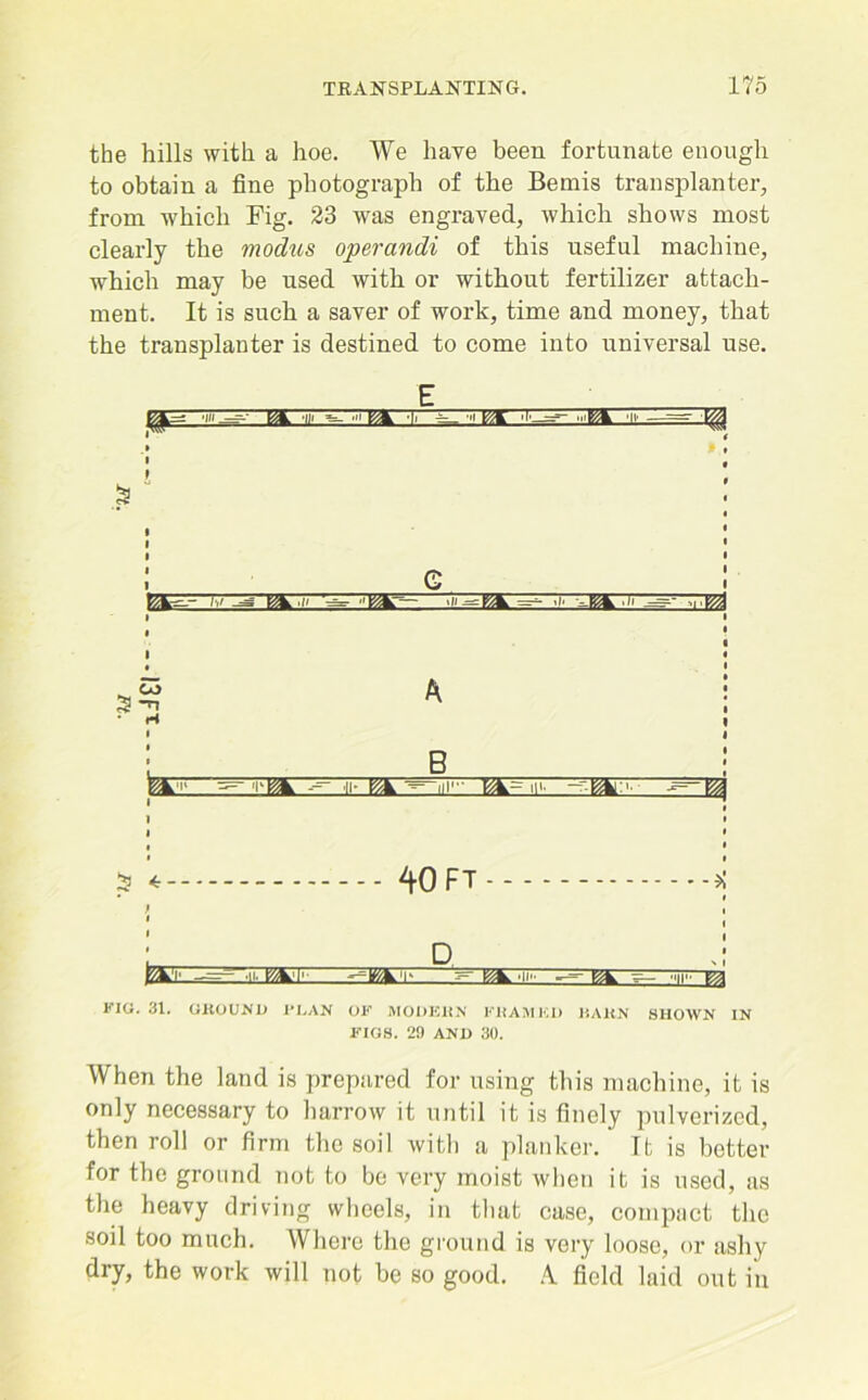 the hills with a hoe. We have been fortunate enough to obtain a fine photograph of the Bemis transplanter, from which Fig. 23 was engraved, which shows most clearly the modus operandi of this useful machine, which may be used with or without fertilizer attach- ment. It is such a saver of work, time and money, that the transplanter is destined to come into universal use. ~W¥~ -1. ; q co ^ «■ 'I'M A B aem: 40 ft D kk'l' —ITAT fee'll,- BA qF~Ea KIO. 31. GROUND ULAN OF MODERN FRAMED BARN SHOWN IN FIGS. 29 AND 30. When the land is prepared for using this machine, it is only necessary to harrow it until it is finely pulverized, then roll or firm the soil with a planker. It is better for the ground not to be very moist when it is used, as the heavy driving wheels, in that case, compact the soil too much. Where the ground is very loose, or ashy dry, the work will not be so good. A field laid out in