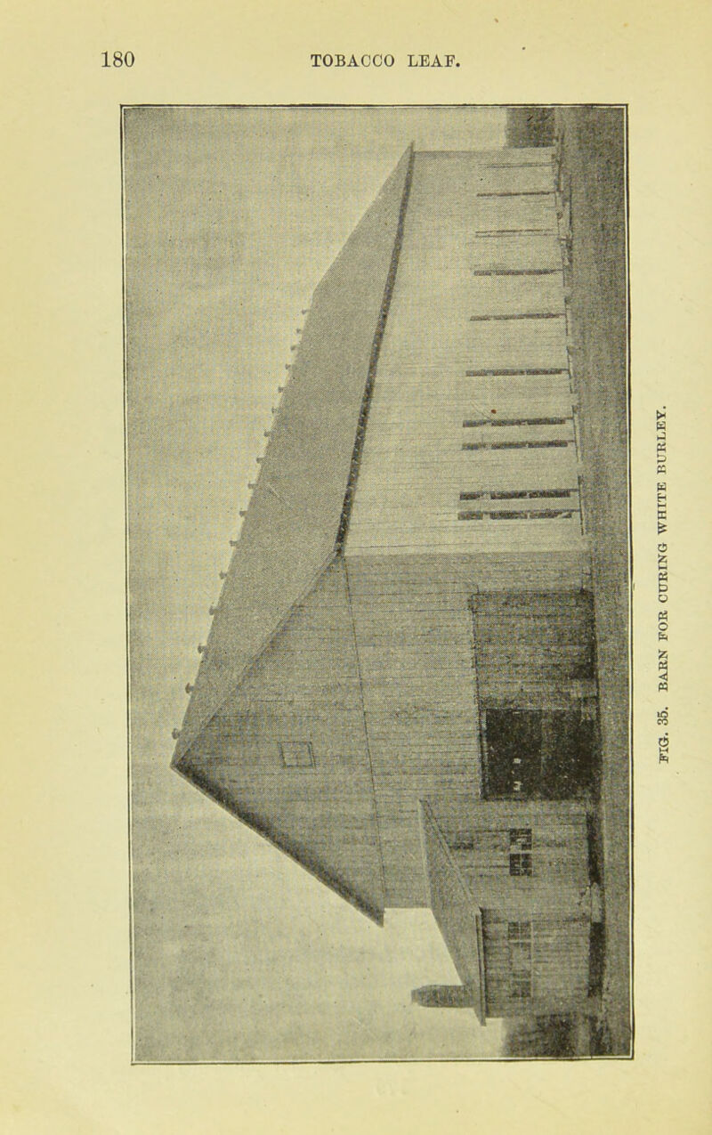 FIG. 35. BARN FOB, CUBING WHITE BUBLEY.