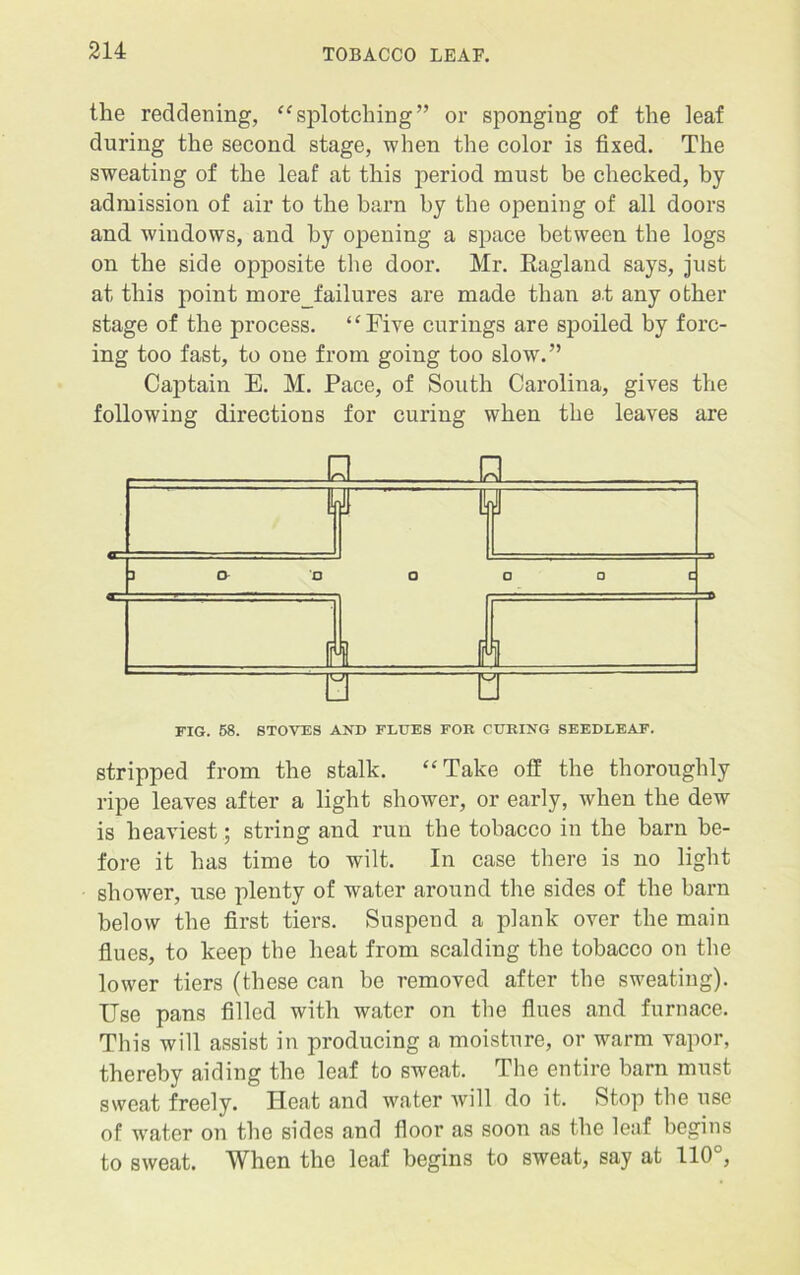 the reddening, “splotching” or sponging of the leaf during the second stage, when the color is fixed. The sweating of the leaf at this period must be checked, by admission of air to the barn by the opening of all doors and windows, and by opening a space between the logs on the side opposite the door. Mr. Ragland says, just at this point more_failures are made than at any other stage of the process. “Five curings are spoiled by forc- ing too fast, to one from going too slow\” Captain E. M. Pace, of South Carolina, gives the following directions for curing when the leaves are M A FIG. 58. STOVES AND FLUES FOR CURING SEEDLEAF. stripped from the stalk. “Take off the thoroughly ripe leaves after a light shower, or early, when the dew is heaviest; string and run the tobacco in the barn be- fore it has time to wilt. In case there is no light shower, use plenty of water around the sides of the barn below the first tiers. Suspend a plank over the main flues, to keep the heat from scalding the tobacco on the lower tiers (these can be removed after the sweating). Use pans filled with water on the flues and furnace. This will assist in producing a moisture, or warm vapor, thereby aiding the leaf to sweat. The entire barn must sweat freely. Heat and water will do it. Stop the use of water on the sides and floor as soon as the leaf begins to sweat. When the leaf begins to sweat, say at 110 ,