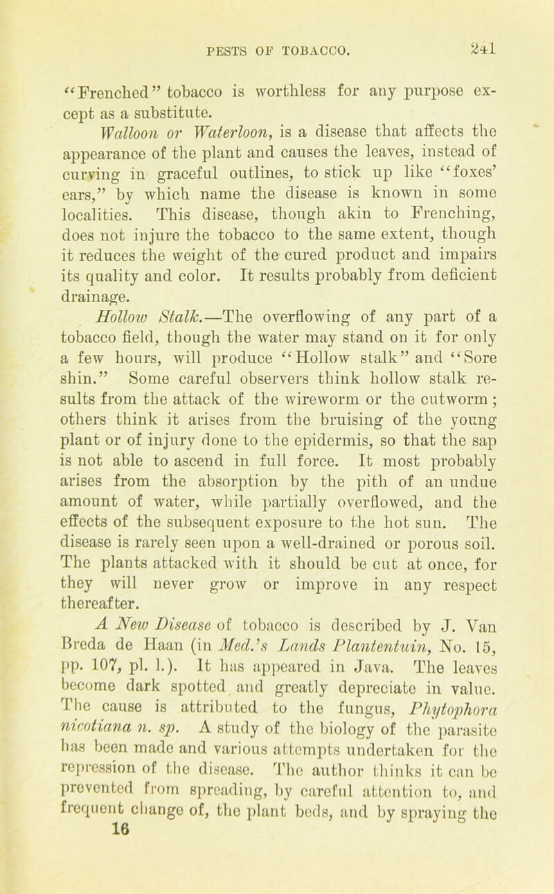 “Frenched” tobacco is worthless for any purpose ex- cept as a substitute. Walloon or Waterloon, is a disease that affects the appearance of the plant and causes the leaves, instead of curving in graceful outlines, to stick up like “foxes’ ears,” by which name the disease is known in some localities. This disease, though akin to Frenching, does not injure the tobacco to the same extent, though it reduces the weight of the cured product and impairs its quality and color. It results probably from deficient drainage. Hollow Stalk.—The overflowing of any part of a tobacco field, though the water may stand on it for only a few hours, will produce “Hollow stalk” and “Sore shin.” Some careful observers think hollow stalk re- sults from the attack of the wireworm or the cutworm ; others think it arises from the bruising of the young plant or of injury done to the epidermis, so that the sap is not able to ascend in full force. It most probably arises from the absorption by the pith of an undue amount of water, while partially overflowed, and the effects of the subsequent exposure to the hot sun. The disease is rarely seen upon a well-drained or porous soil. The plants attacked with it should be cut at once, for they will never grow or improve in any respect thereafter. A Neio Disease of tobacco is described by J. Van Breda de Ilaan (in Mecl.’s Lands Plantentuin, No. 15, pp. 107, pi. ].). It lias appeared in Java. The leaves become dark spotted and greatly depreciate in value. The cause is attributed to the fungus, Phytophora nicotiana n. sp. A study of the biology of the parasite has been made and various attempts undertaken for the repression of the disease. The author thinks it can be prevented from spreading, by careful attention to, and frequent change of, the plant beds, and by spraying the