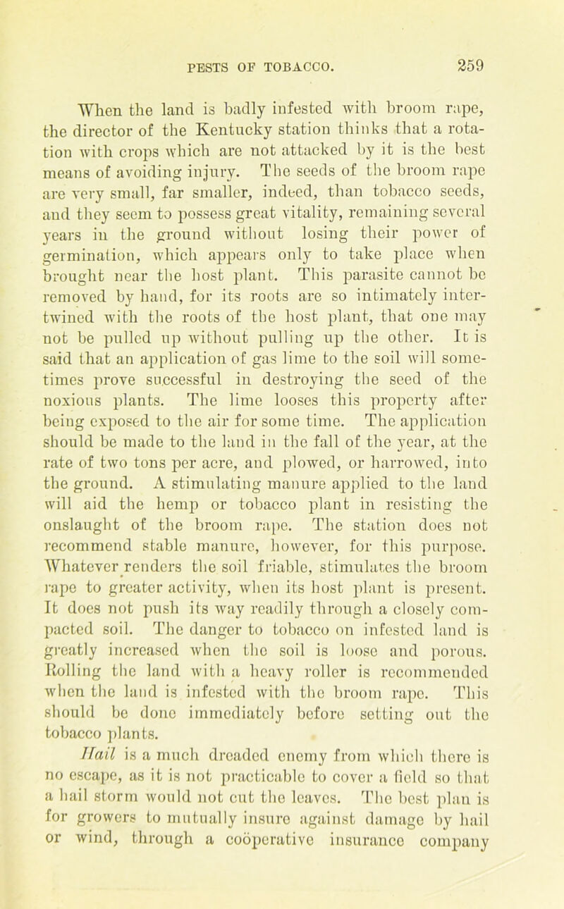 When the land is hadly infested with broom rape, the director of the Kentucky station thinks that a rota- tion with crops which are not attacked by it is the best means of avoiding injury. The seeds of the broom rape are very small, far smaller, indeed, than tobacco seeds, and they seem to possess great vitality, remaining several years in the ground without losing their power of germination, which appears only to take place when brought near the host plant. This parasite cannot he removed by hand, for its roots are so intimately inter- twined with the roots of the host plant, that one may not be pulled up without pulling up the other. It is said that an application of gas lime to the soil will some- times prove successful in destroying the seed of the noxious plants. The lime looses this property after being exposed to the air for some time. The application should be made to the land in the fall of the year, at the rate of two tons per acre, and plowed, or harrowed, into the ground. A stimulating manure applied to the land will aid the hemp or tobacco plant in resisting the onslaught of the broom rape. The station does not recommend stable manure, however, for this purpose. Whatever renders the soil friable, stimulates the broom rape to greater activity, when its host plant is present. It does not push its way readily through a closely com- pacted soil. The danger to tobacco on infested land is greatly increased when the soil is loose and porous. Rolling the land with a heavy roller is recommended when the land is infested with the broom rape. This should be done immediately before setting out the tobacco plants. Hail is a much dreaded enemy from which there is no escape, as it is not practicable to cover a field so that a hail storm would not cut the leaves. The best plan is for growers to mutually insure against damage by hail or wind, through a cooperative insurance company