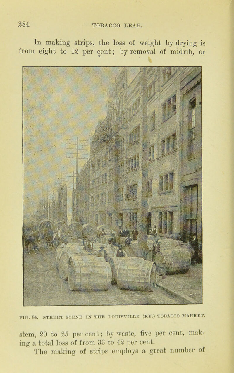 In making strips, the loss of weight by drying is from eight to 12 per cent; by removal of midrib, or FIG. 84. STREET SCENE IN THE LOUISVILLE (KY.) TOBACCO MARKET. stem, 20 to 25 per cent; by waste, five per cent, mak- ing a total loss of from 33 to 42 per cent. The making of strips employs a great number of