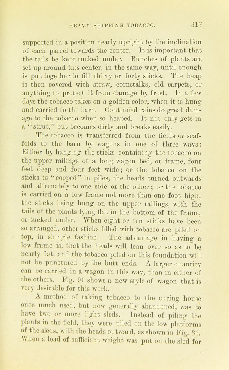 supported in a position nearly upright by the inclination of each parcel towards the center. It is important that the tails be kept tucked under. Bunches of plants are set up around this center, in the same way, until enough is put together to fill thirty or forty sticks. The heap is then covered with straw, cornstalks, old carpets, or anything to protect it from damage by frost. In a few days the tobacco takes on a golden color, when it is hung and carried to the barn. Continued rains do great dam- age to the tobacco when so heaped. It not only gets in a “strut,” but becomes dirty and breaks easily. The tobacco is transferred from the fields- or scaf- folds to the barn by wagons in one of three ways: Either by hanging the sticks containing the tobacco on the upper railings of a long wagon bed, or frame, four feet deep and four feet wide; or the tobacco on the sticks is “cooped” in piles, the heads turned outwards and alternately to one side or the other; or the tobacco is carried on a low frame not more than one foot high, the sticks being hung on the upper railings, with the tails of the plants lying flat in the bottom of the frame, or tucked under. When eight or ten sticks have been so arranged, other sticks filled with tobacco are piled on top, in shingle fashion. The advantage in having a low frame is, that the heads will lean over so as to be nearly flat, and the tobacco piled on this foundation will not be punctured by the butt ends. A larger quantity can be carried in a wagon in this way, than in either of the others. Fig. 91 shows a new style of wagon that is very desirable for this work. A method of taking tobacco to the curing house once much used, hut now generally abandoned, was to have two or more light sleds. Instead of piling the plants in the field, they were piled on the low platforms of the sleds, with the heads outward, as shown in Fig. 3ii. When a load of sufficient weight was put on the sled for