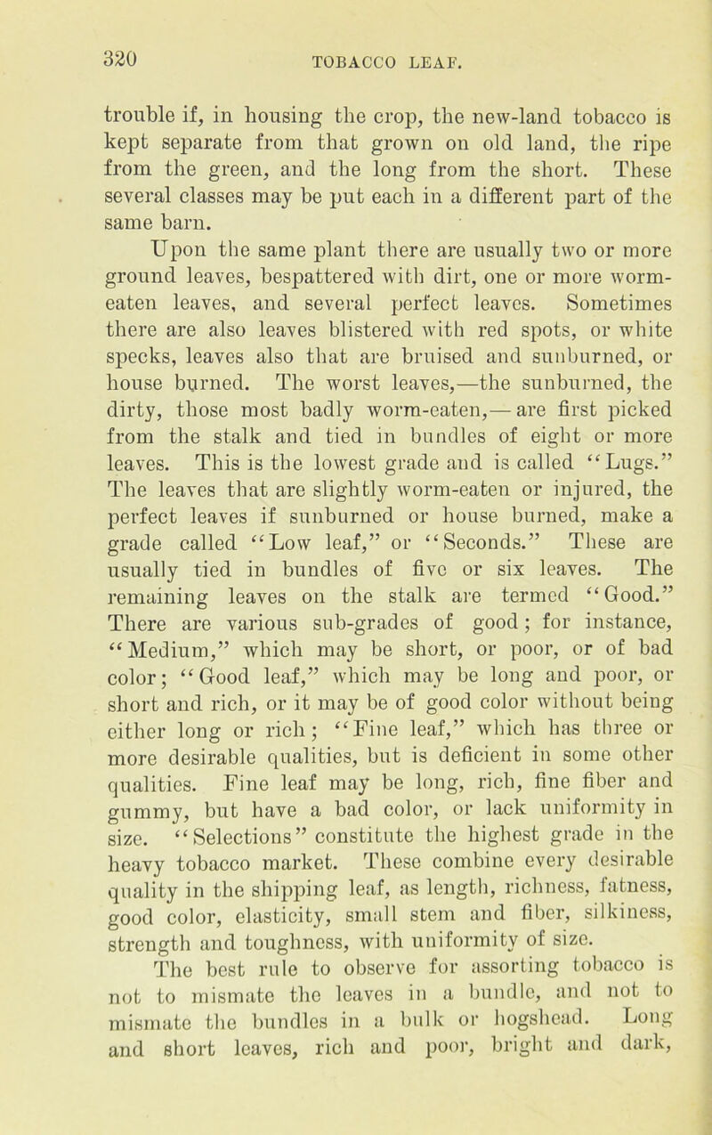 trouble if, in housing the crop, the new-land tobacco is kept separate from that grown on old land, the ripe from the green, and the long from the short. These several classes may be put each in a different part of the same barn. Upon the same plant there are usually two or more ground leaves, bespattered with dirt, one or more worm- eaten leaves, and several perfect leaves. Sometimes there are also leaves blistered with red spots, or white specks, leaves also that are bruised and sunburned, or house burned. The worst leaves,—the sunburned, the dirty, those most badly worm-eaten,— are first picked from the stalk and tied in bundles of eight or more leaves. This is the lowest grade and is called “Lugs.” The leaves that are slightly worm-eaten or injured, the perfect leaves if sunburned or house burned, make a grade called “Low leaf,” or “Seconds.” These are usually tied in bundles of five or six leaves. The remaining leaves on the stalk are termed “Good.” There are various sub-grades of good; for instance, “Medium,” which may be short, or poor, or of had color; “Good leaf,” which may he long and poor, or short and rich, or it may be of good color without being either long or rich; “Fine leaf,” which has three or more desirable qualities, hut is deficient in some other qualities. Fine leaf may be long, rich, fine fiber and gummy, but have a had color, or lack uniformity in size. “Selections” constitute the highest grade in the heavy tobacco market. These combine every desirable quality in the shipping leaf, as length, richness, latness, good color, elasticity, small stem and fiber, silkiness, strength and toughness, with uniformity of size. The best rule to observe for assorting tobacco is not to mismate the leaves in a bundle, and not to mismate the bundles in a hulk or hogshead. Long and short leaves, rich and poor, bright and dark,