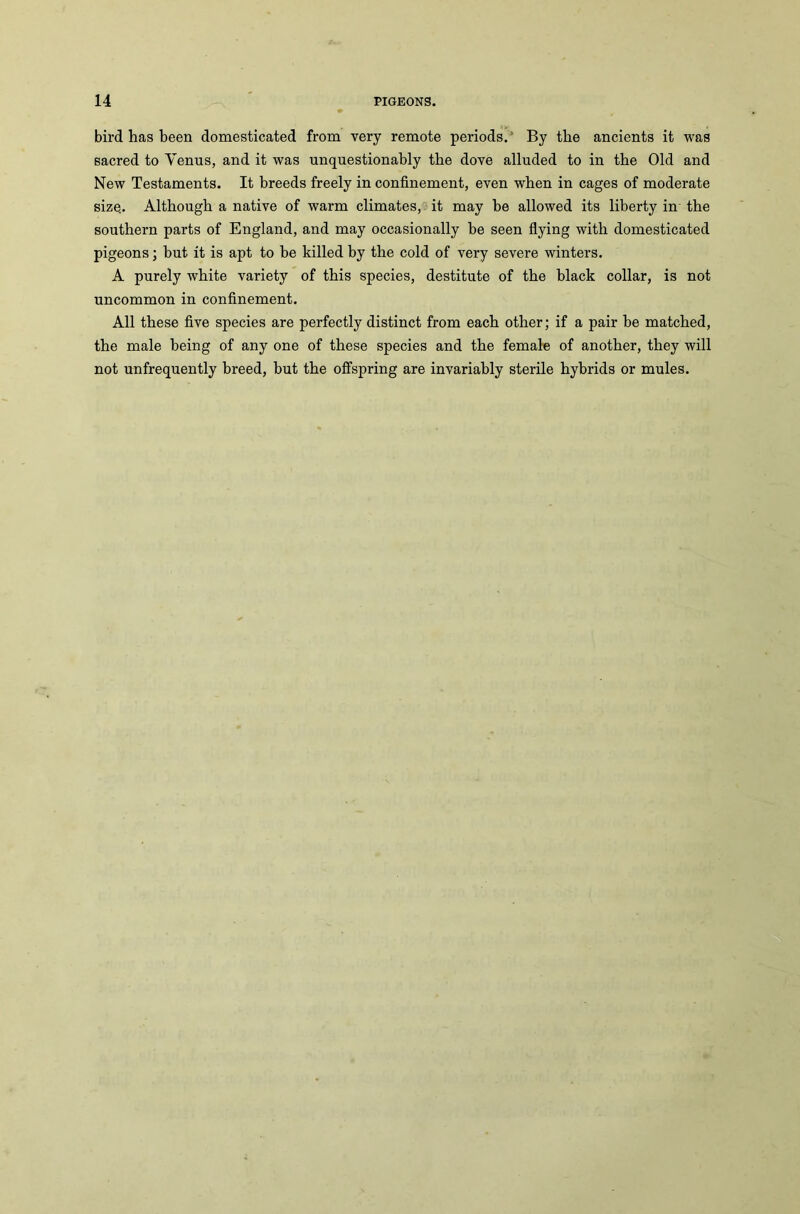 bird has been domesticated from very remote periods.' By the ancients it was sacred to Venus, and it was unquestionably the dove alluded to in the Old and New Testaments. It breeds freely in confinement, even when in cages of moderate size.. Although a native of warm climates, it may be allowed its liberty in the southern parts of England, and may occasionally be seen flying with domesticated pigeons; but it is apt to be killed by the cold of very severe winters. A purely white variety of this species, destitute of the black collar, is not uncommon in confinement. All these five species are perfectly distinct from each other; if a pair he matched, the male being of any one of these species and the female of another, they will not unfrequently breed, but the offspring are invariably sterile hybrids or mules.