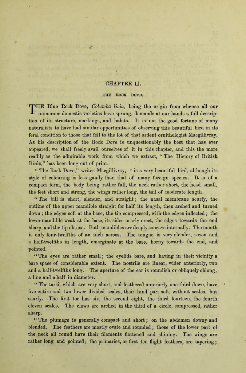 CHAPTER II. THE ROCK DOVE. THE Blue Rock Dove, Columba livia, being the origin from whence all our numerous domestic varieties have sprung, demands at our hands a full descrip- tion of its structure, markings, and habits. It is not the good fortune of many naturalists to have had similar opportunities of observing this beautiful bird in its feral condition to those that fell to the lot of that ardent ornithologist Macgillivray. As his description of the Rock Dove is unquestionably the best that has ever appeared, we shall freely avail ourselves of it in this chapter, and this the more readily as the admirable work from which we extract, “The History of British Birds,” has been long out of print. “ The Rock Dove,” writes Macgillivray, “ is a very beautiful bird, although its style of colouring is less gaudy than that of many foreign species. It is of a compact form, the body being rather full, the neck rather short, the head small, the feet short and strong, the wings rather long, the tail of moderate length. “ The bill is short, slender, and straight; the nasal membrane scurfy, the outline of the upper mandible straight for half its length, then arched and turned down ; the edges soft at the base, the tip compressed, with the edges inflected ; the lower mandible weak at the base, its sides nearly erect, the edges towards the end sharp, and the tip obtuse. Both mandibles are deeply concave internally. The mouth is only four-twelfths of an inch across. The tongue is very slender, seven and a half-twelfths in length, emarginate at the base, horny towards the end, and pointed. “ The eyes are rather small; the eyelids bare, and having in their vicinity a bare space of considerable extent. The nostrils are linear, wider anteriorly, two and a half-twelfths long. The aperture of the ear is roundish or obliquely oblong, a line and a half in diameter. “ The tarsi, which are very short, and feathered anteriorly one-third down, have five entire and two lower divided scales, their hind part soft, without scales, but scurfy. The first toe has six, the second eight, the third fourteen, the fourth eleven scales. The claws are arched in the third of a circle, compressed, rather sharp. “ The plumage is generally compact and short; on the abdomen downy and blended. The feathers are mostly ovate and rounded ; those of the lower part of the neck all round have their filaments flattened and shining. The wings are rather long and pointed; the primaries, or first ten flight feathers, are tapering;