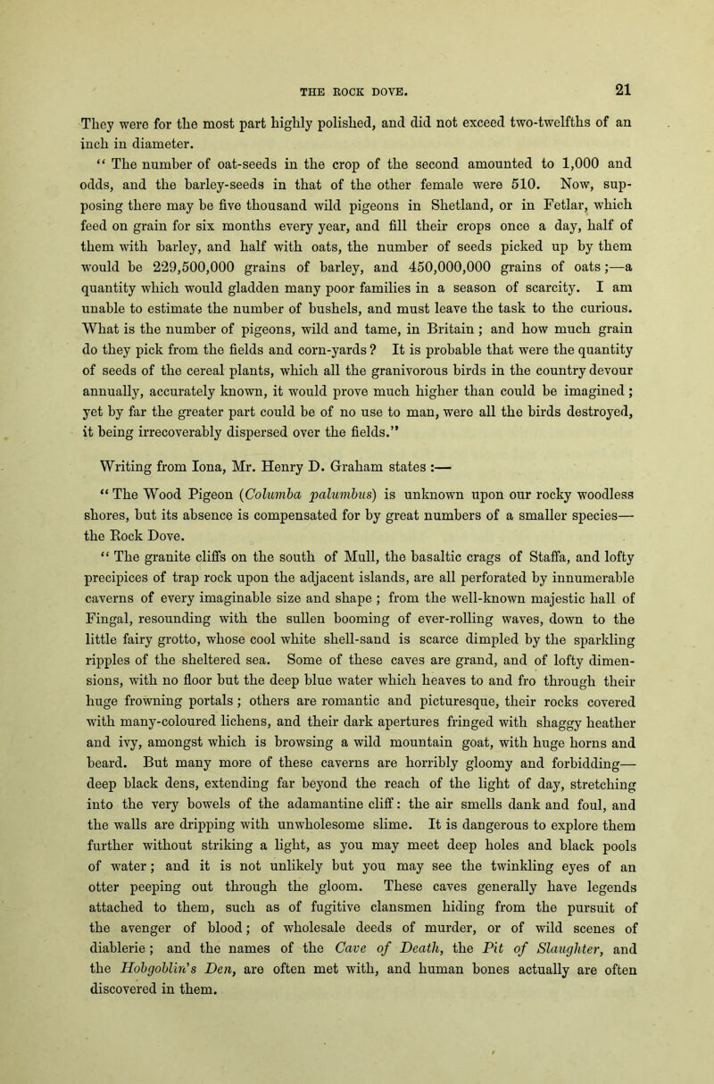 They were for the most part highly polished, and did not exceed two-twelfths of an inch in diameter. “ The number of oat-seeds in the crop of the second amounted to 1,000 and odds, and the barley-seeds in that of the other female were 510. Now, sup- posing there may be five thousand wild pigeons in Shetland, or in Fetlar, which feed on grain for six months every year, and fill their crops once a day, half of them with barley, and half with oats, the number of seeds picked up by them would be 229,500,000 grains of barley, and 450,000,000 grains of oats;—a quantity which would gladden many poor families in a season of scarcity. I am unable to estimate the number of bushels, and must leave the task to the curious. What is the number of pigeons, wild and tame, in Britain ; and how much grain do they pick from the fields and corn-yards ? It is probable that were the quantity of seeds of the cereal plants, which all the granivorous birds in the country devour annually, accurately known, it would prove much higher than could he imagined ; yet by far the greater part could be of no use to man, were all the birds destroyed, it being irrecoverably dispersed over the fields.” Writing from Iona, Mr. Henry D. Graham states :— “ The Wood Pigeon (Columba palumbus) is unknown upon our rocky woodless shores, hut its absence is compensated for by great numbers of a smaller species— the Bock Dove. “ The granite cliffs on the south of Mull, the basaltic crags of Staffa, and lofty precipices of trap rock upon the adjacent islands, are all perforated by innumerable caverns of every imaginable size and shape ; from the well-known majestic hall of Fingal, resounding with the sullen booming of ever-rolling waves, down to the little fairy grotto, whose cool white shell-sand is scarce dimpled by the sparkling ripples of the sheltered sea. Some of these caves are grand, and of lofty dimen- sions, with no floor hut the deep blue water which heaves to and fro through their huge frowning portals ; others are romantic and picturesque, their rocks covered with many-coloured lichens, and their dark apertures fringed with shaggy heather and ivy, amongst which is browsing a wild mountain goat, with huge horns and heard. But many more of these caverns are horribly gloomy and forbidding— deep black dens, extending far beyond the reach of the light of day, stretching into the very bowels of the adamantine cliff: the air smells dank and foul, and the walls are dripping with unwholesome slime. It is dangerous to explore them further without striking a light, as you may meet deep holes and black pools of water ; and it is not unlikely but you may see the twinkling eyes of an otter peeping out through the gloom. These caves generally have legends attached to them, such as of fugitive clansmen hiding from the pursuit of the avenger of blood; of wholesale deeds of murder, or of wild scenes of diablerie; and the names of the Cave of Death, the Pit of Slaughter, and the Hobgoblin's Den, are often met with, and human bones actually are often discovered in them.