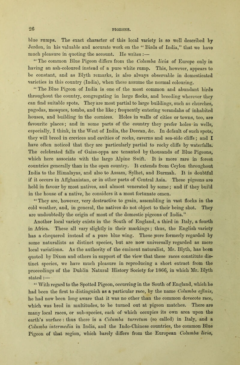 blue rumps. The exact character of this local variety is so well described by Jerdon, in his valuable and accurate work on the “ Birds of India,” that we have much pleasure in quoting the account. He writes :— “The common Blue Pigeon differs from the Columba livia of Europe only in having an ash-coloured instead of a pure white rump. This, however, appears to be constant, and as Blyth remarks, is also always observable in domesticated varieties in this country (India), when these assume the normal colouring. “ The Blue Pigeon of India is one of the most common and abundant birds throughout the country, congregating in large flocks, and breeding wherever they can find suitable spots. They are most partial to large buildings, such as churches, pagodas, mosques, tombs, and the like; frequently entering verandahs of inhabited houses, and building in the cornices. Holes in walls of cities or towns, too, are favourite places; and in some parts of the country they prefer holes in wells, especially, I think, in the West of India, the Deccan, &c. In default of such spots, they will breed in crevices and cavities of rocks, caverns and sea-side cliffs ; and I have often noticed that they are particularly partial to rocky cliffs by waterfalls. The celebrated falls of Gaiss-oppa are tenanted by thousands of Blue Pigeons, which here associate with the large Alpine Swift. It is more rare in forest countries generally than in the open country. It extends from Ceylon throughout India to the Himalayas, and also to Assam, Sylhet, and Burmah. It is doubtful if it occurs in Affghanistan, or in other parts of Central Asia. These pigeons are held in favour by most natives, and almost venerated by some; and if they build in the house of a native, he considers it a most fortunate omen. “ They are, however, very destructive to grain, assembling in vast flocks in the cold weather, and, in general, the natives do not object to their being shot. They are undoubtedly the origin of most of the domestic pigeons of India.” Another local variety exists in the South of England, a third in Italy, a fourth in Africa. These all vary slightly in their markings ; thus, the English variety has a chequered instead of a pure blue wing. These were formerly regarded by some naturalists as distinct species, but are now universally regarded as mere local variations. As the authority of the eminent naturalist, Mr. Blyth, has been quoted by Dixon and others in support of the view that these races constitute dis- tinct species, we have much pleasure in reproducing a short extract from the proceedings of the Dublin Natural History Society for 1866, in which Mr. Blyth stated :— “ With regard to the Spotted Pigeon, occurring in the South of England, which he had been the first to distinguish as a particular race, by the name Columba ajjinis, he had now been long aware that it was no other than the common dovecote race, which was bred in multitudes, to be turned out at pigeon matches. There are many local races, or sub-species, each of which occupies its own area upon the earth’s surface : thus there is a Columba turretum (so called) in Italy, and a Columba intermedia in India, and the Indo-Chinese countries, the common Blue Pigeon of that region, which barely differs from the European Columba livia,
